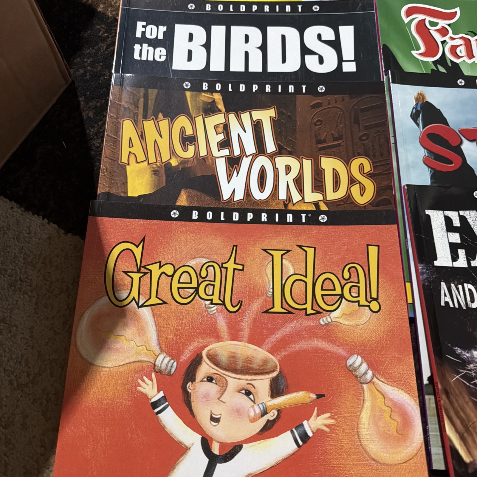 Lot of 21 Boldprint Steck Vaughn Books For Kids