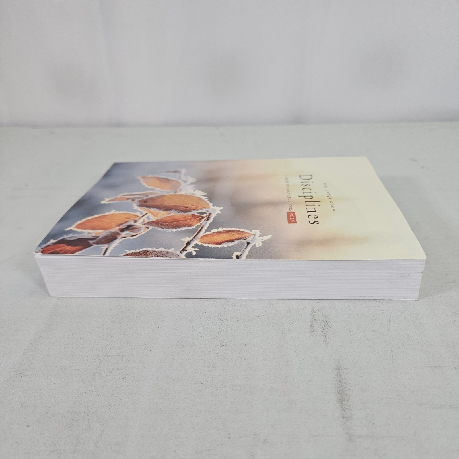 Upper Room Disciplines 2025 : A Book of Daily Devotions by The Upper Room (2024,