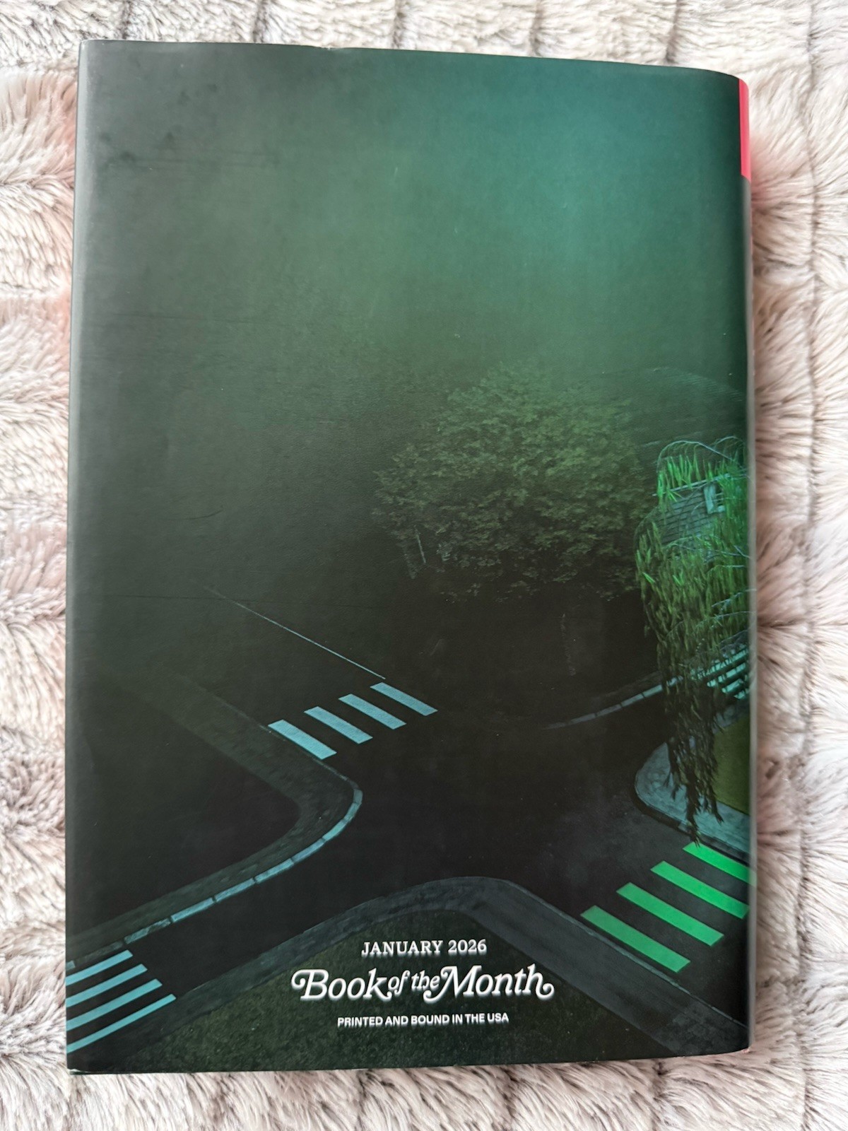 Anatomy of an Alibi by Ashley Elston, Hardcover, Book Of Month Club