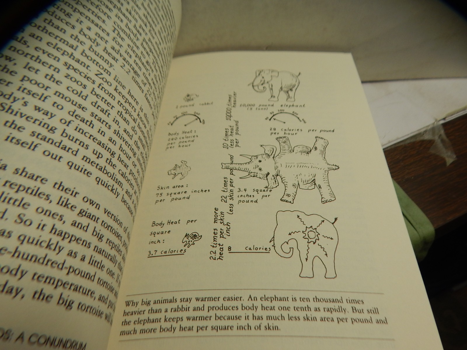 Bakker. The Dinosaur Heresies New Theories Unlocking Mystery of Dinosaurs Signed