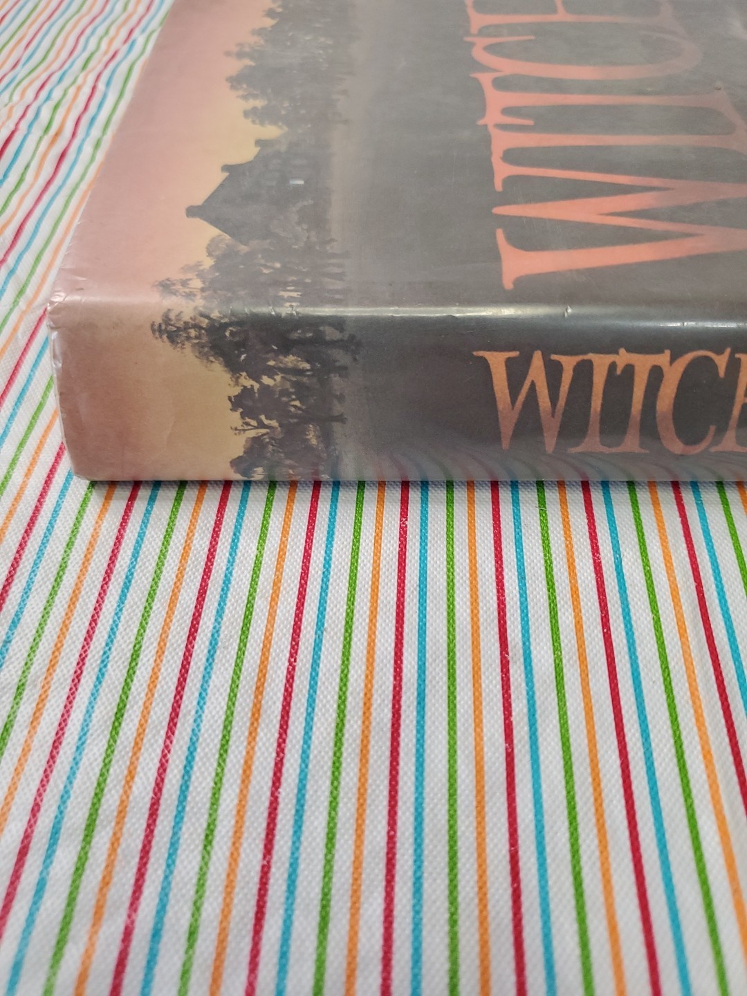 WITCH by Barbara Michaels HC DJ Book EX-Library 1973 1st edition rare?