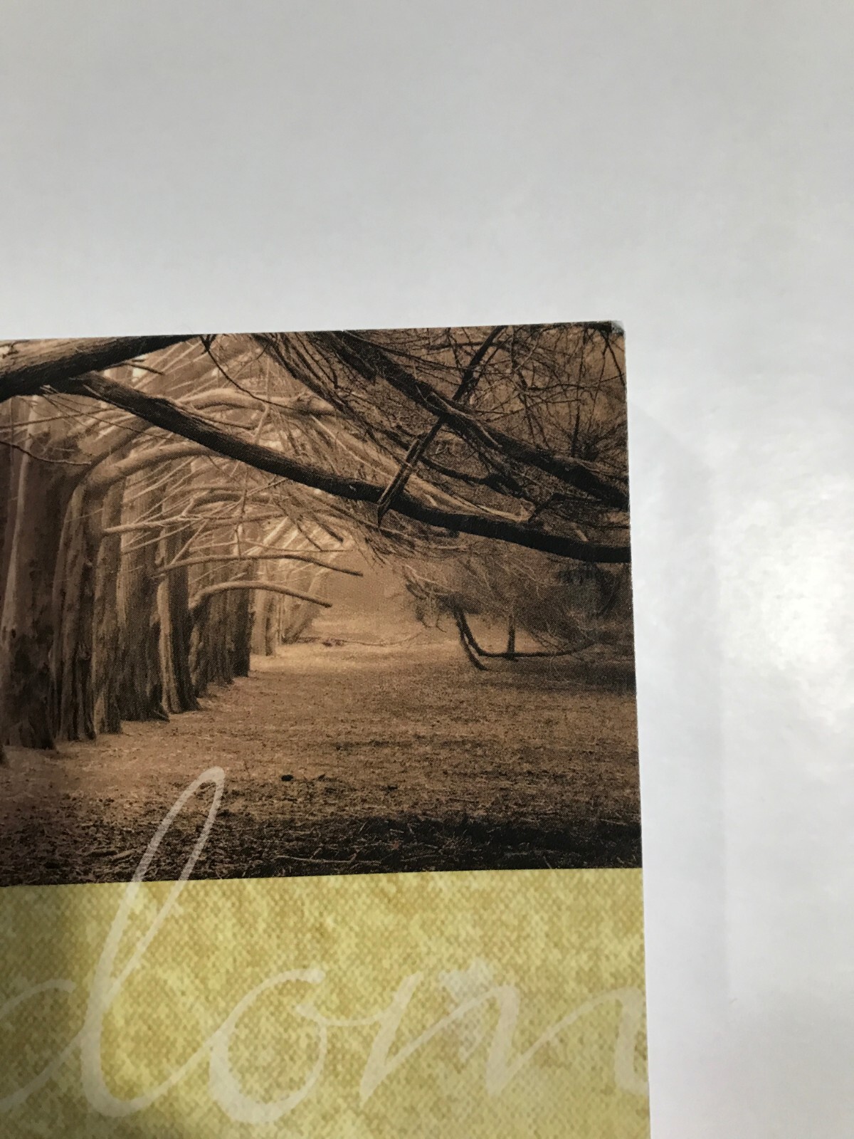 The One Year Book of Daily Wisdom by Neil Wilson