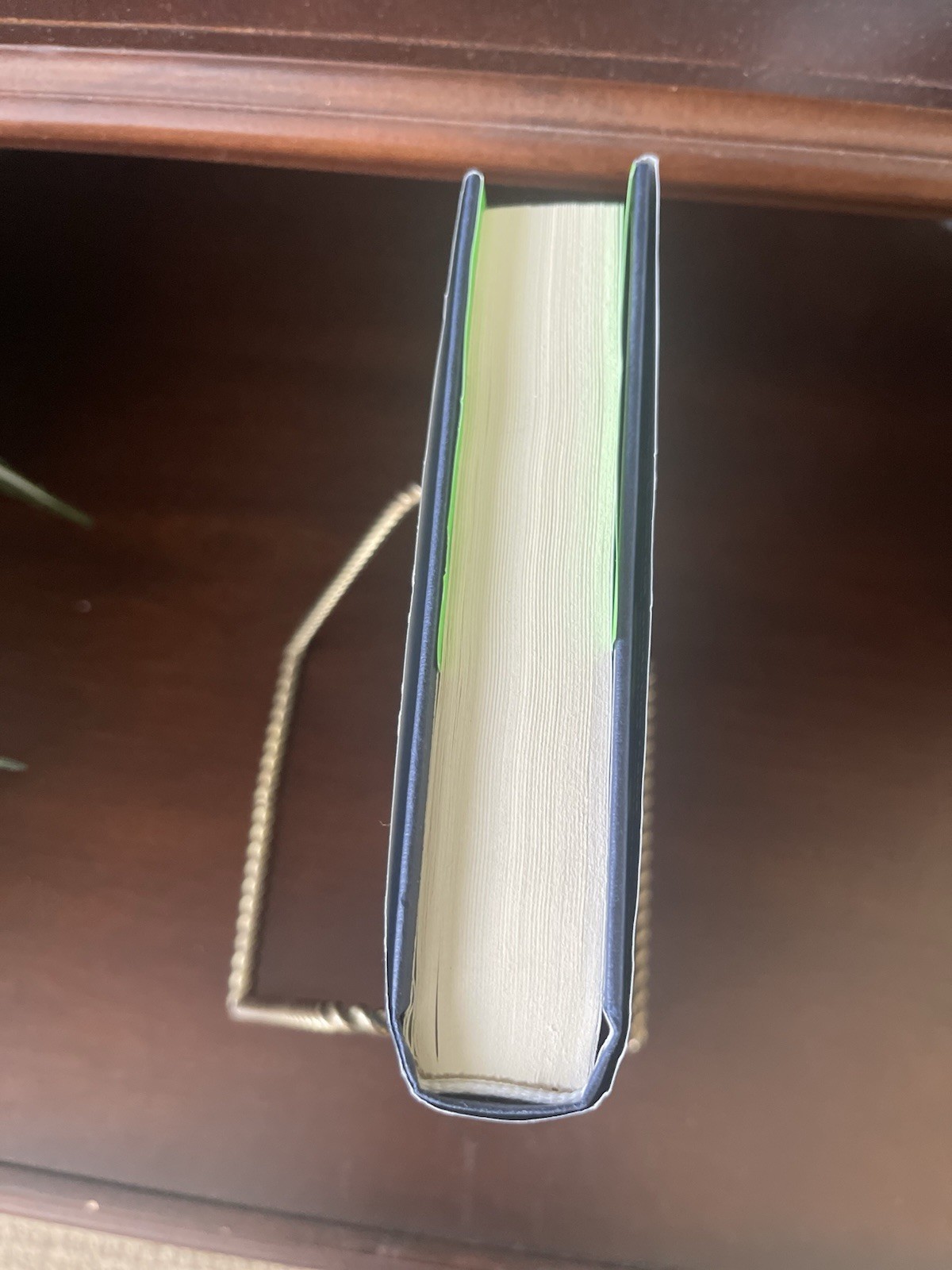 Ashley Elston First Lie Wins Thriller Hardcover Viking First Edition