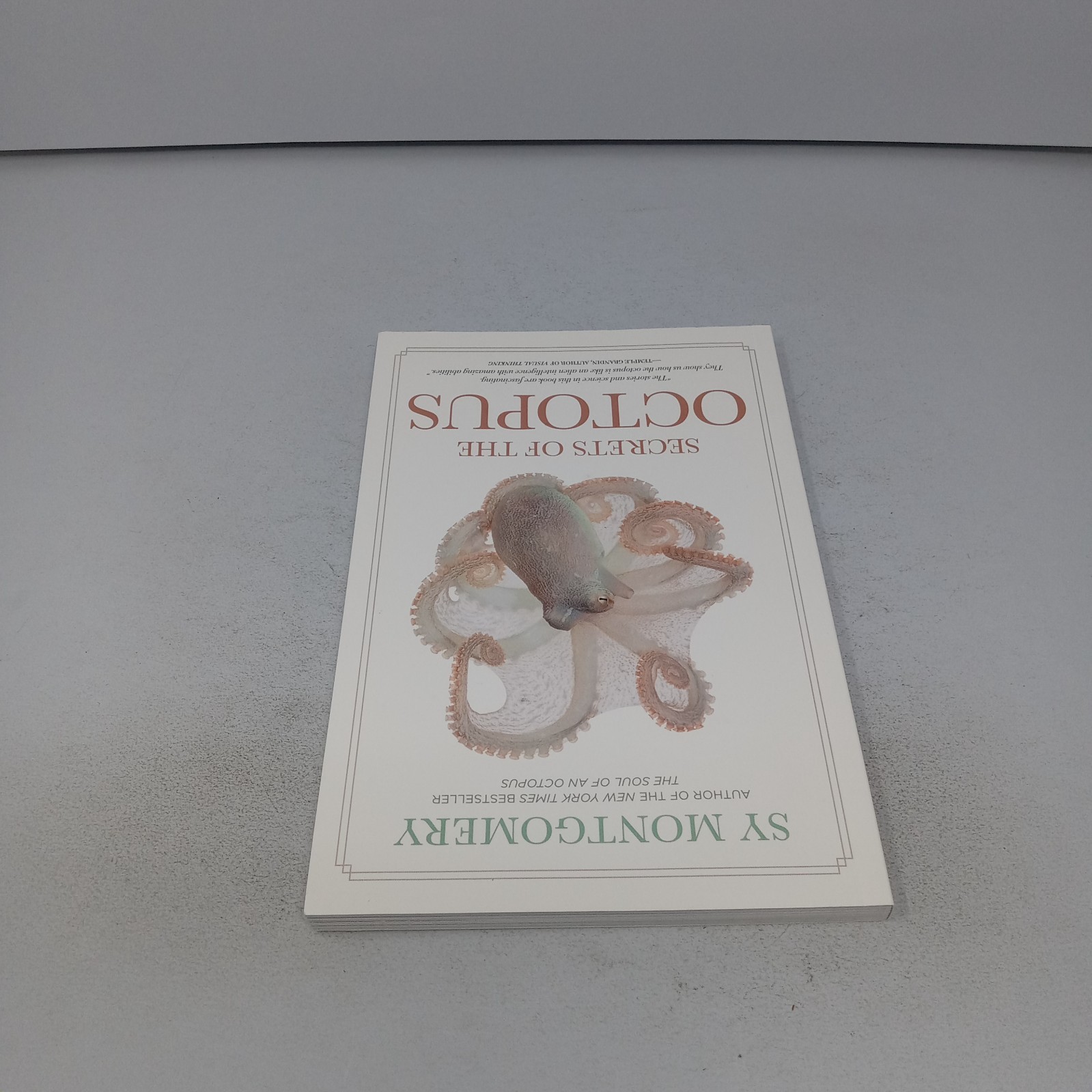 Secrets of the Octopus: 2024 National Geographic Paperback by Sy Montgomery