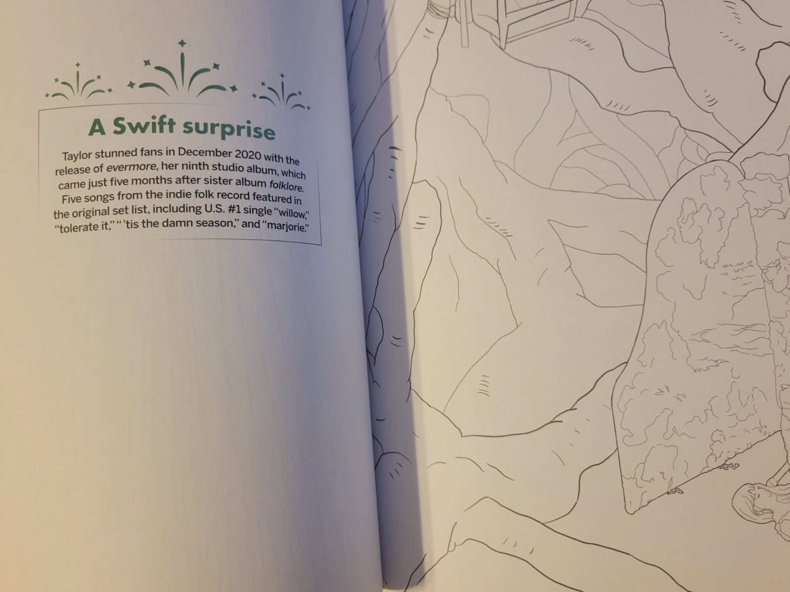 TAYLOR SWIFT – Coloring & Activity Book Tour Edition – Photos-Games-Coloring-NEW