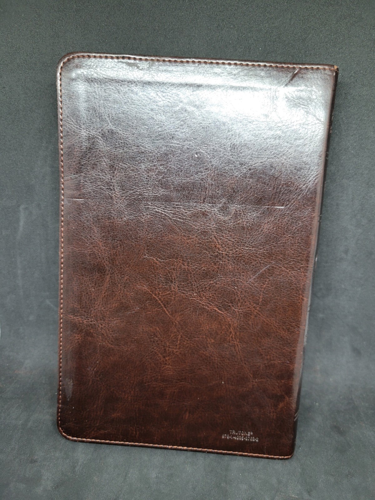 ESV THINLINE BIBLE TRUTONE Crossway Bibles Holy Bible