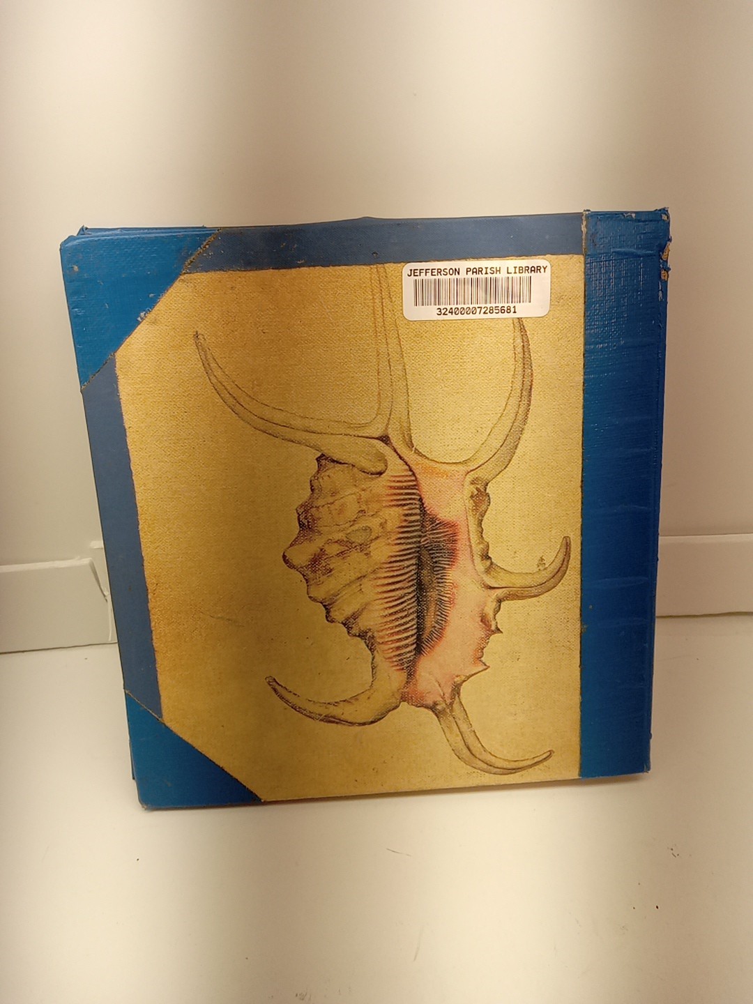 Shells By Roderick Cameron (HC, 1961) Ex Library – READ