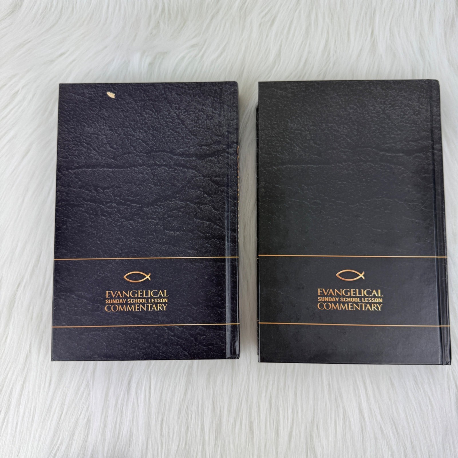 Evangelical Sunday School Lesson Commentary 2013-2014 & 2014-2015 Used Book