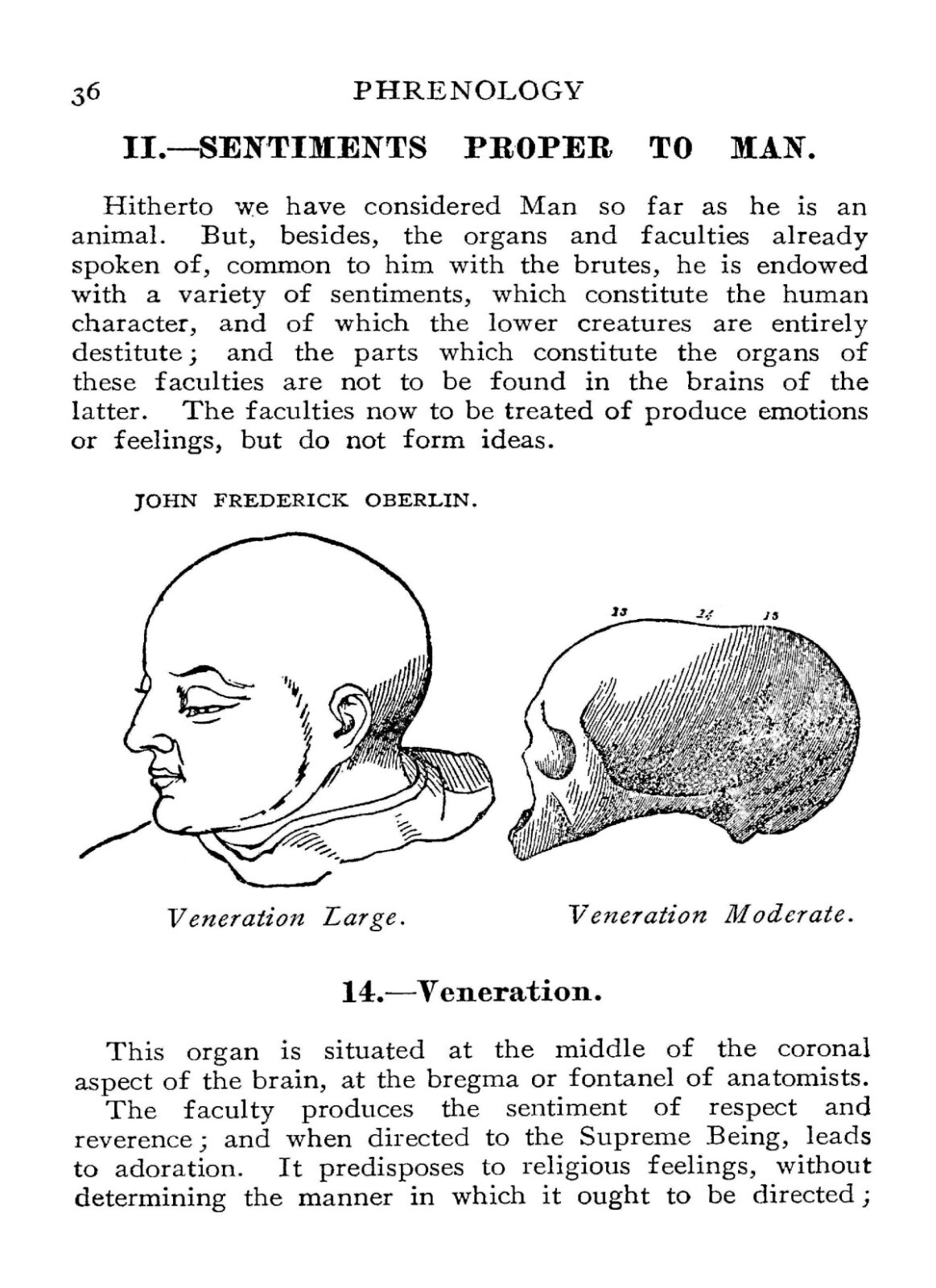 Phrenology How to Read The Head “1891” 67 Pages