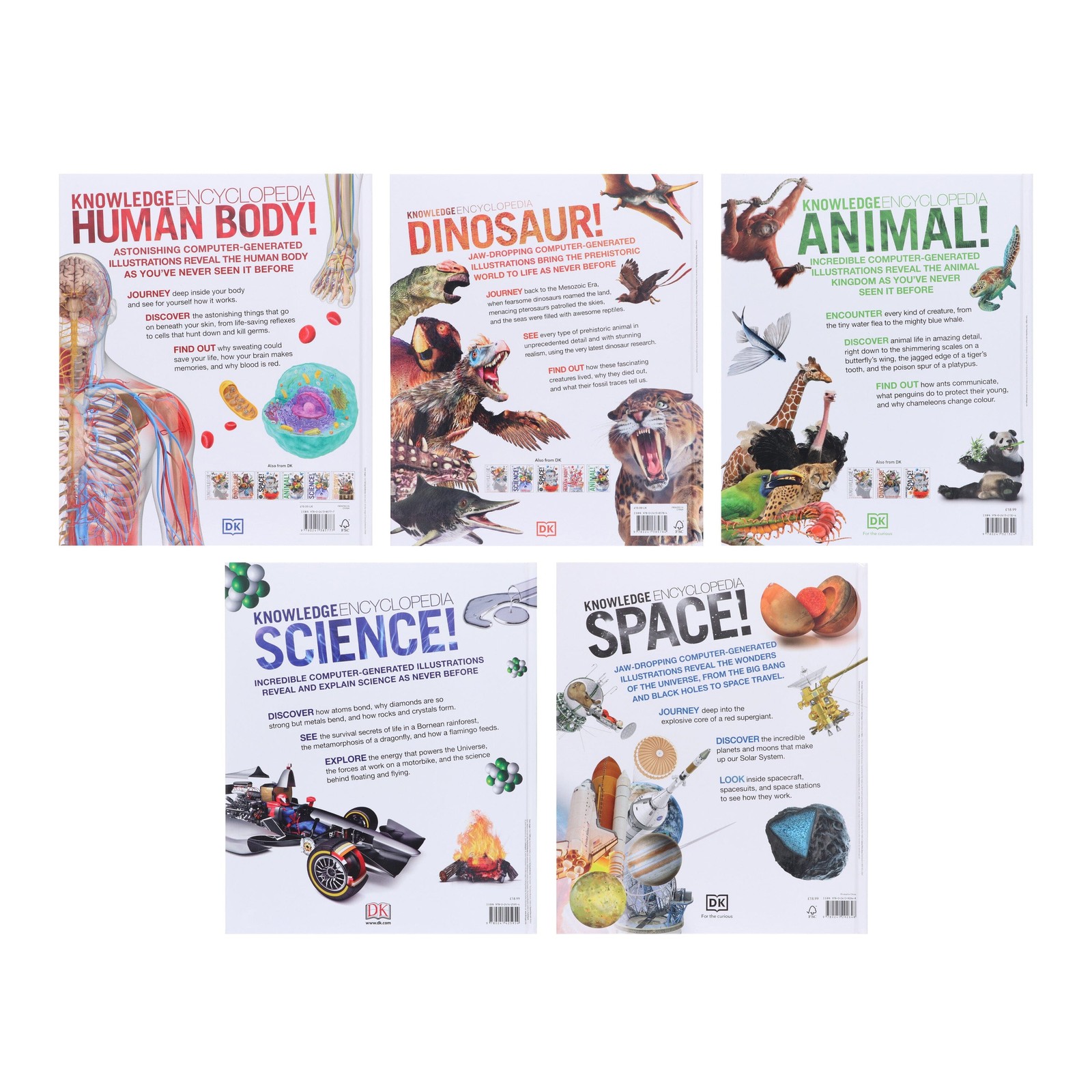 Knowledge Encyclopedias By DK: 5 Books Set – Ages 9-12 – Hardback