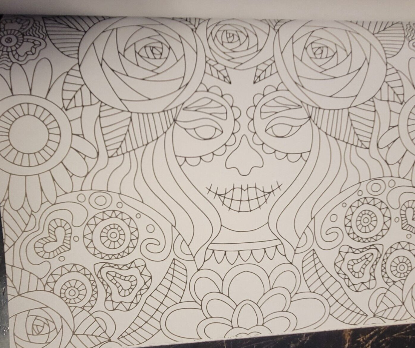 DAY OF THE DEAD Vol 5 Adult Coloring Book With 47 Prints Ready To Frame