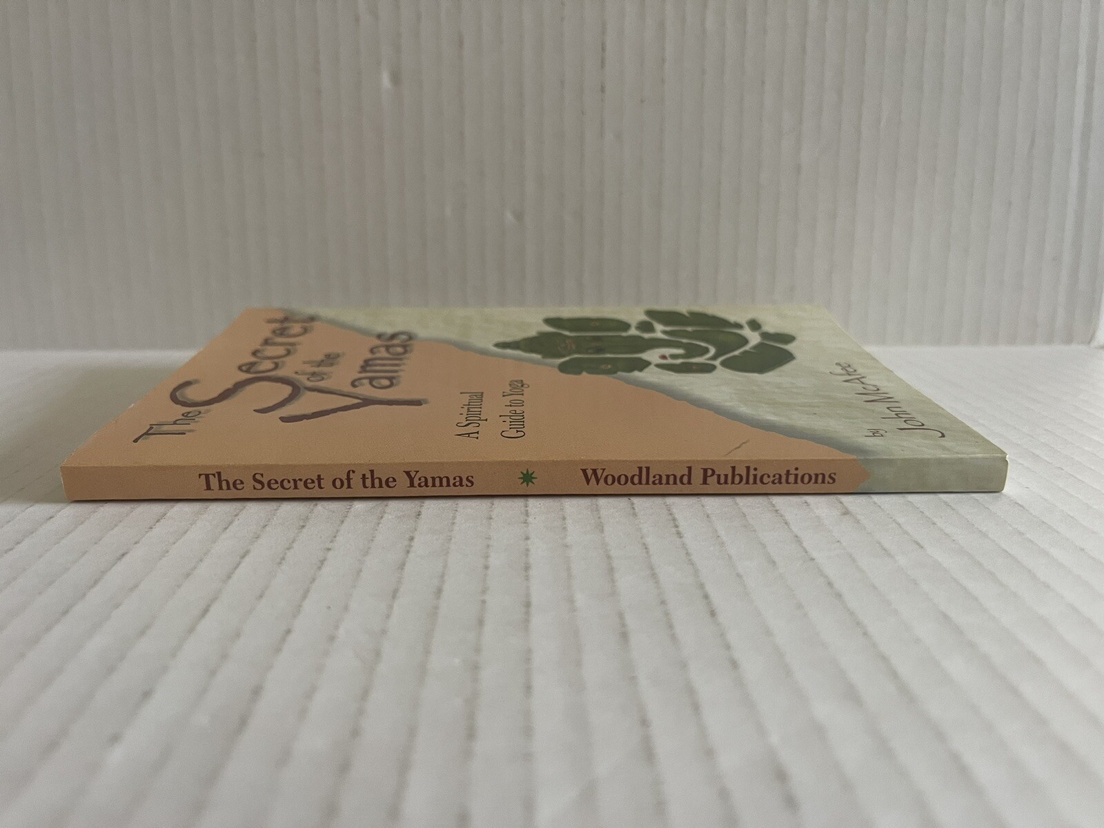 The Secret of the Yamas : A Spiritual Guide to Yoga by John McAfee (2001, Trade