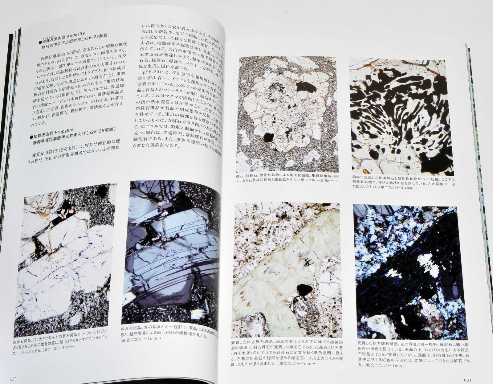 Rock Thin Section Illustrated Guide: Mineral Composition and History from Japan