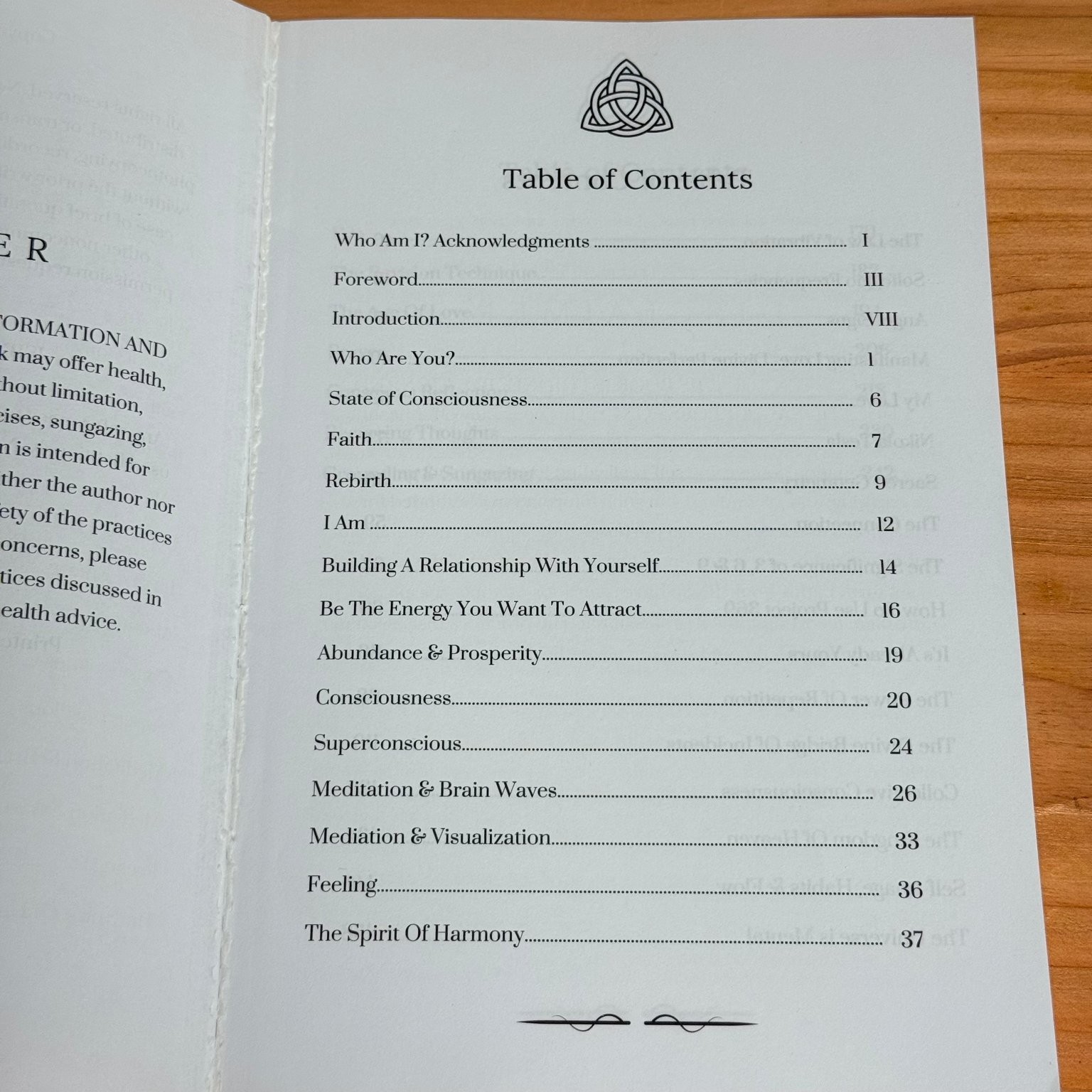 Project 369 David Kasneci 2020 First Edition Spirituality Palmetto