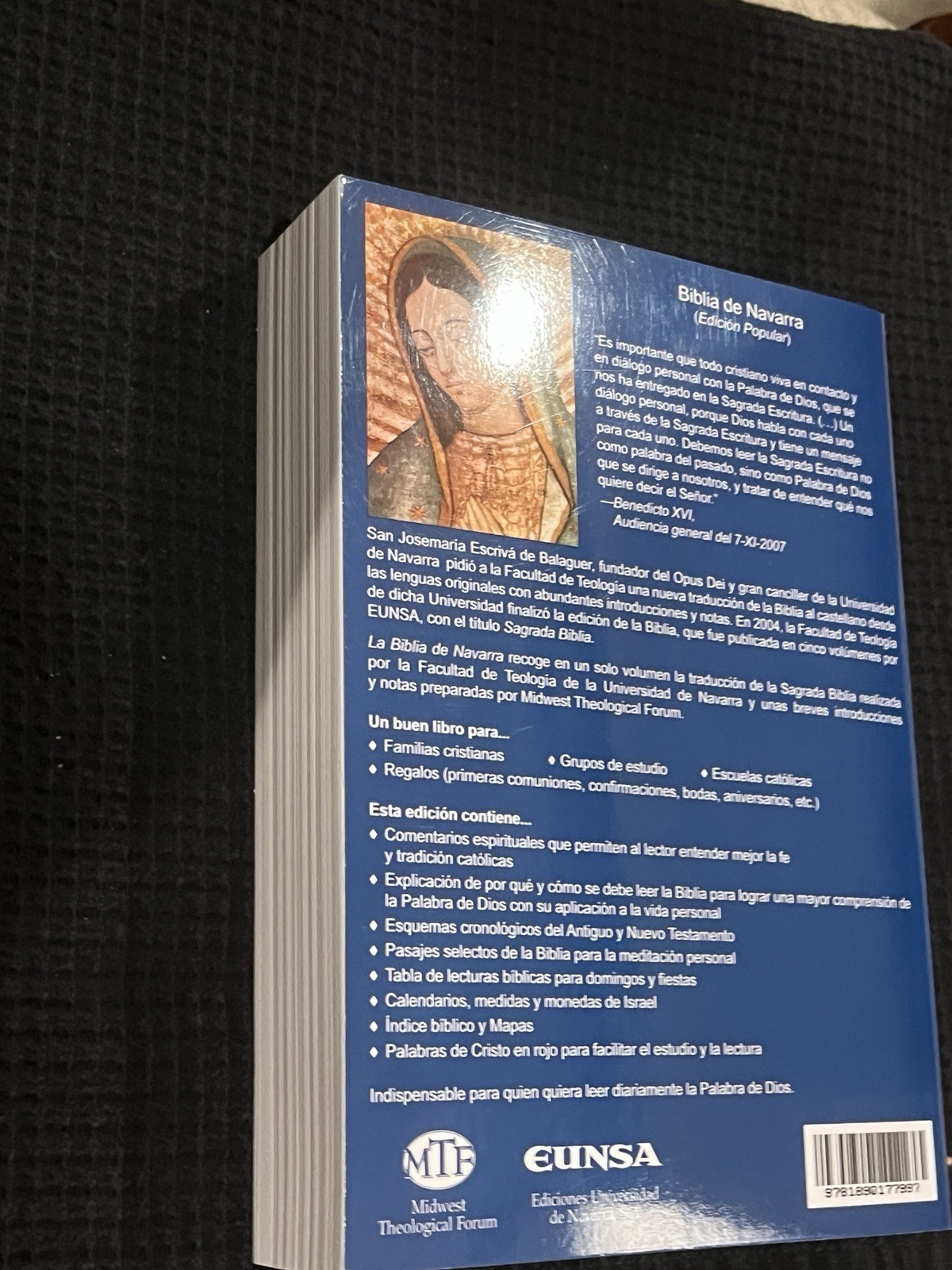 BIBLIA DE NAVARRA (EDICION POPULAR) – Spanish Bible