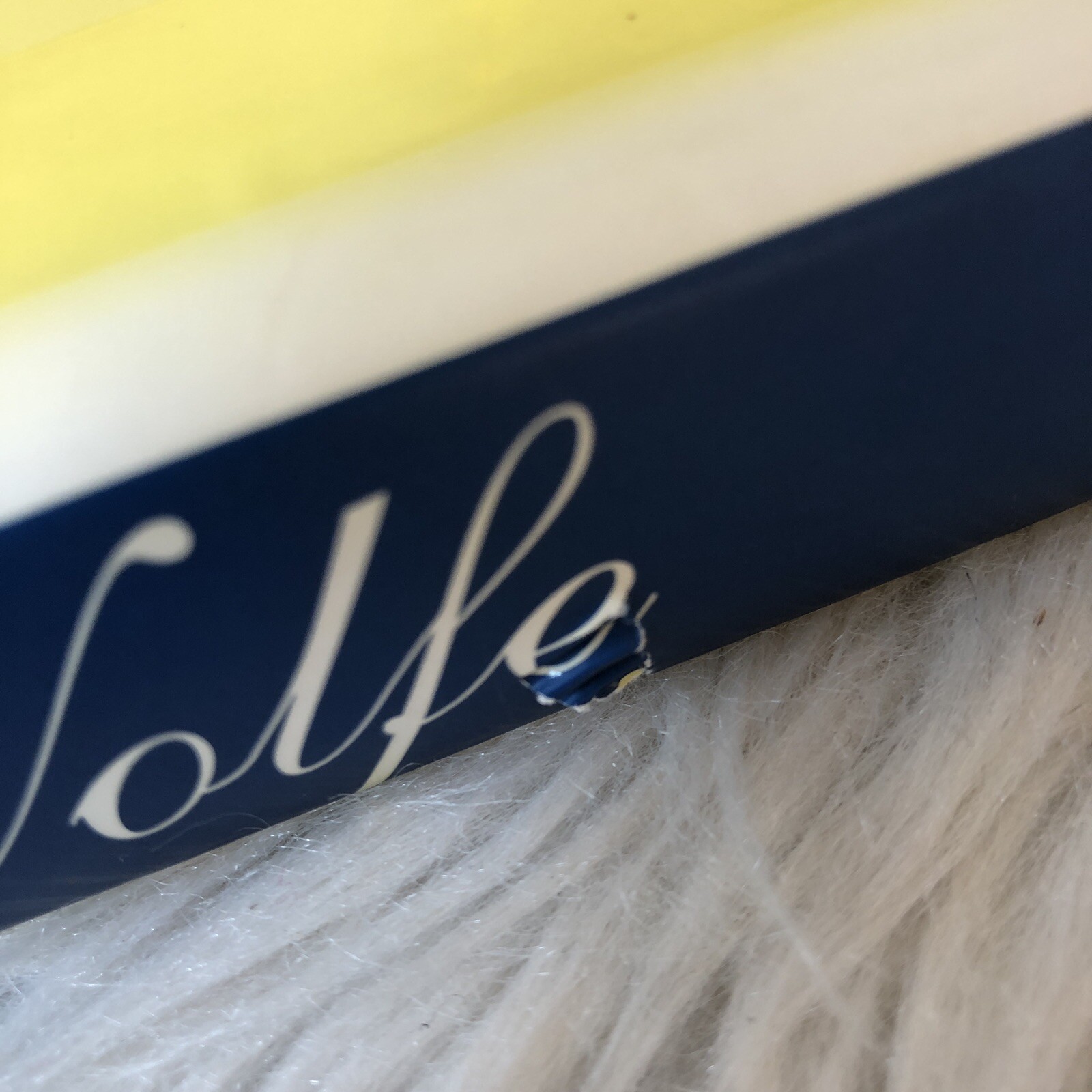 Elsie de Wolfe, the Birth of Modern Interior Design Acanthus Press Yellow Book