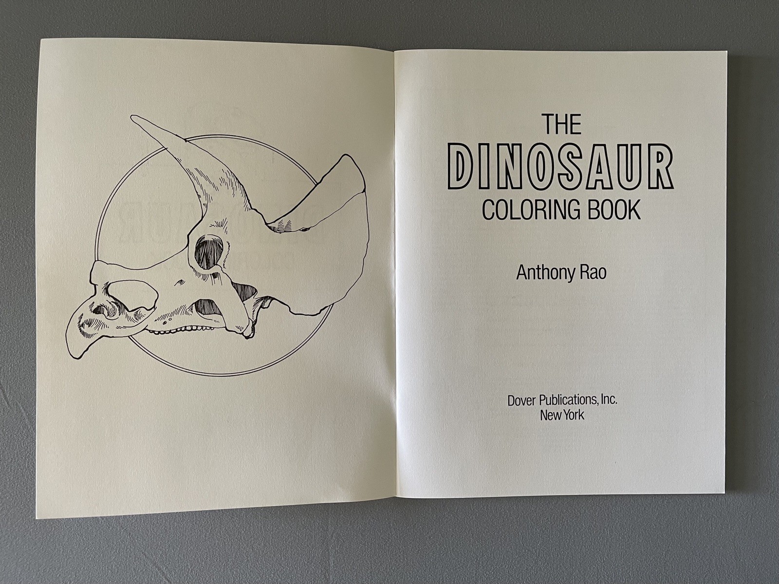 Vintage 1980 The Dinosaur Coloring Book by Anthony Rao for Dover Publications