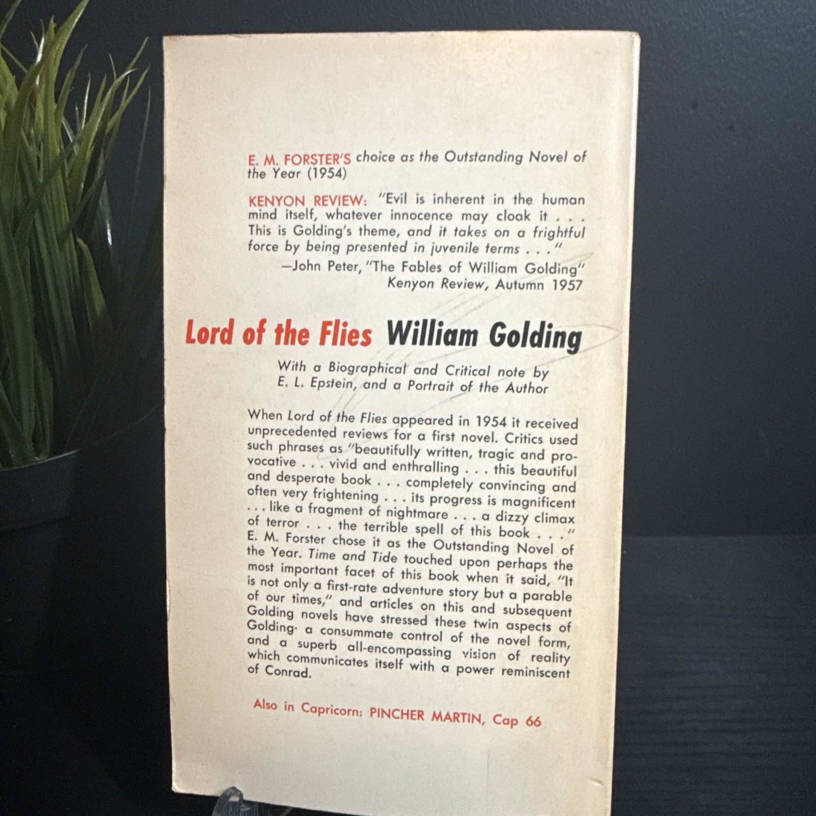 VTG 1959 Lord of the Flies William Golding Capricorn Books Paperback $1.25 Copy