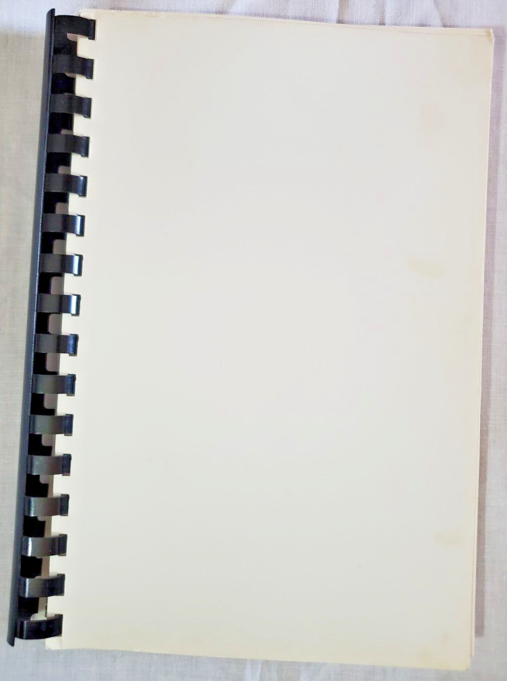 Puckett Panthers 1989-1990 Cookbook Elementary School Recipes Amarillo Tx