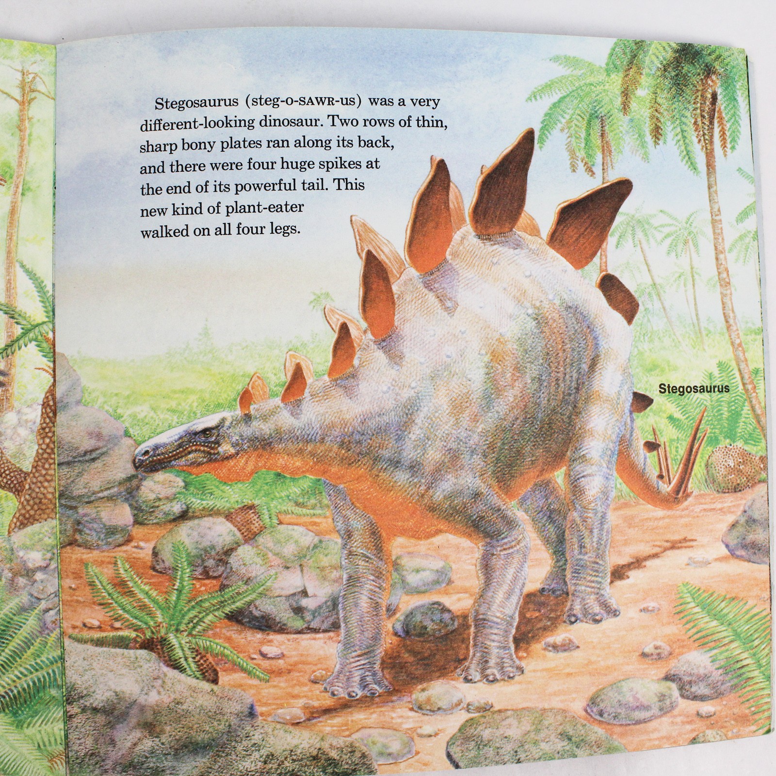 Lot of 2 Children’s Easy Reader Books: Animal Cousins & Dinosaurs