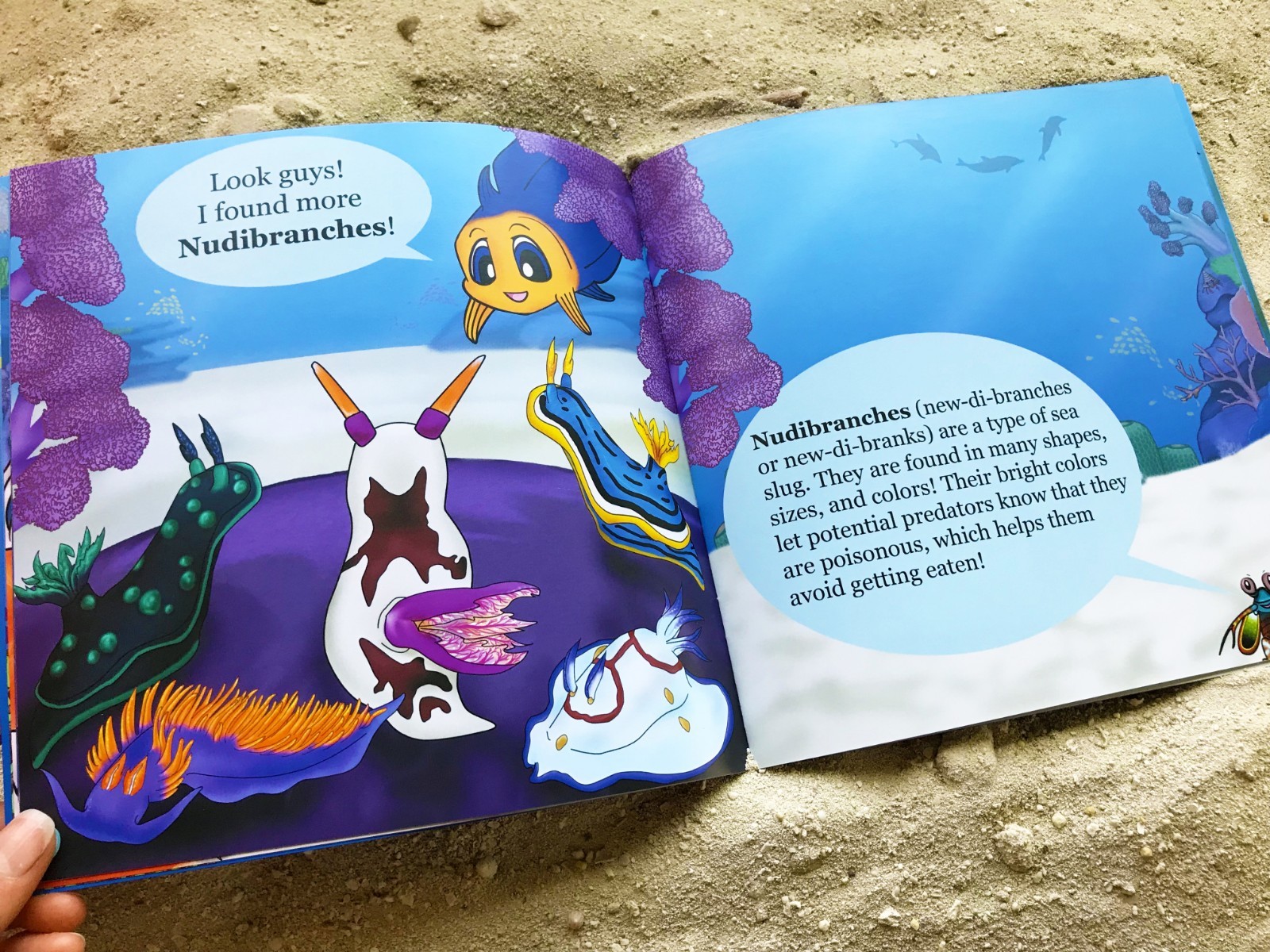 Reef Pals: Wonders of the Reef – NEW – Ocean Sea Coral Reef Kids Children’s Book
