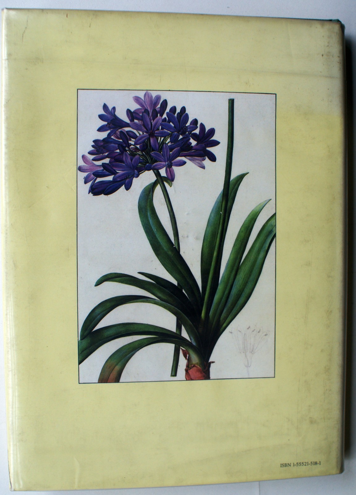 A REDOUTE TREASURY: 468 WATERCOLOURS FROM LES LILIACEES, Pierre Joseph [399]