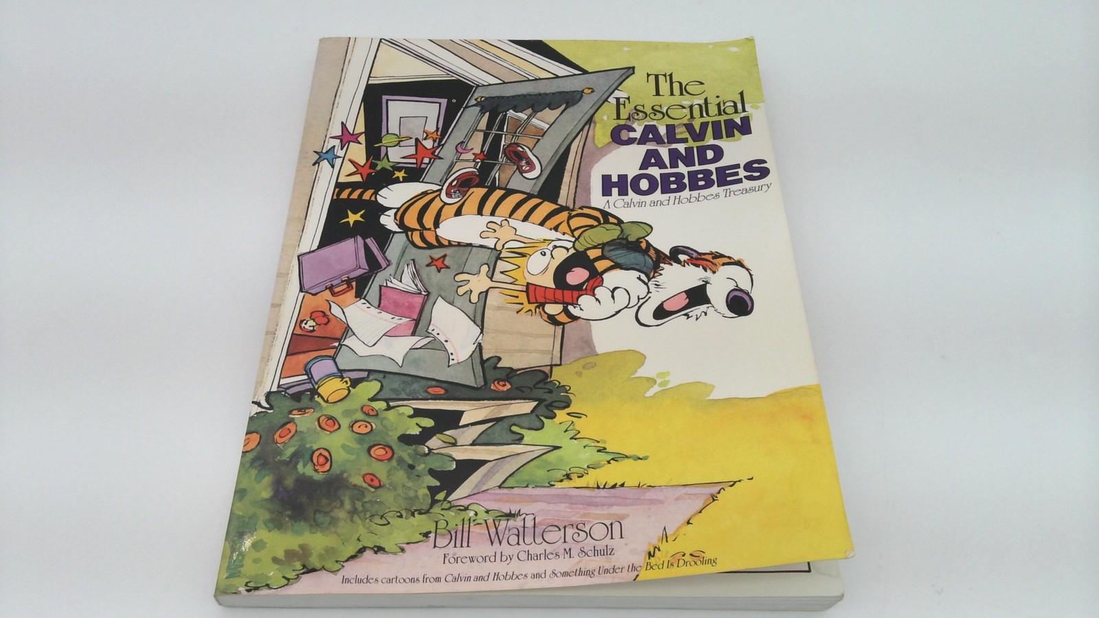 Calvin and Hobbes Collection Lot of 10 Books Bill Watterson Comic Strip Cartoon
