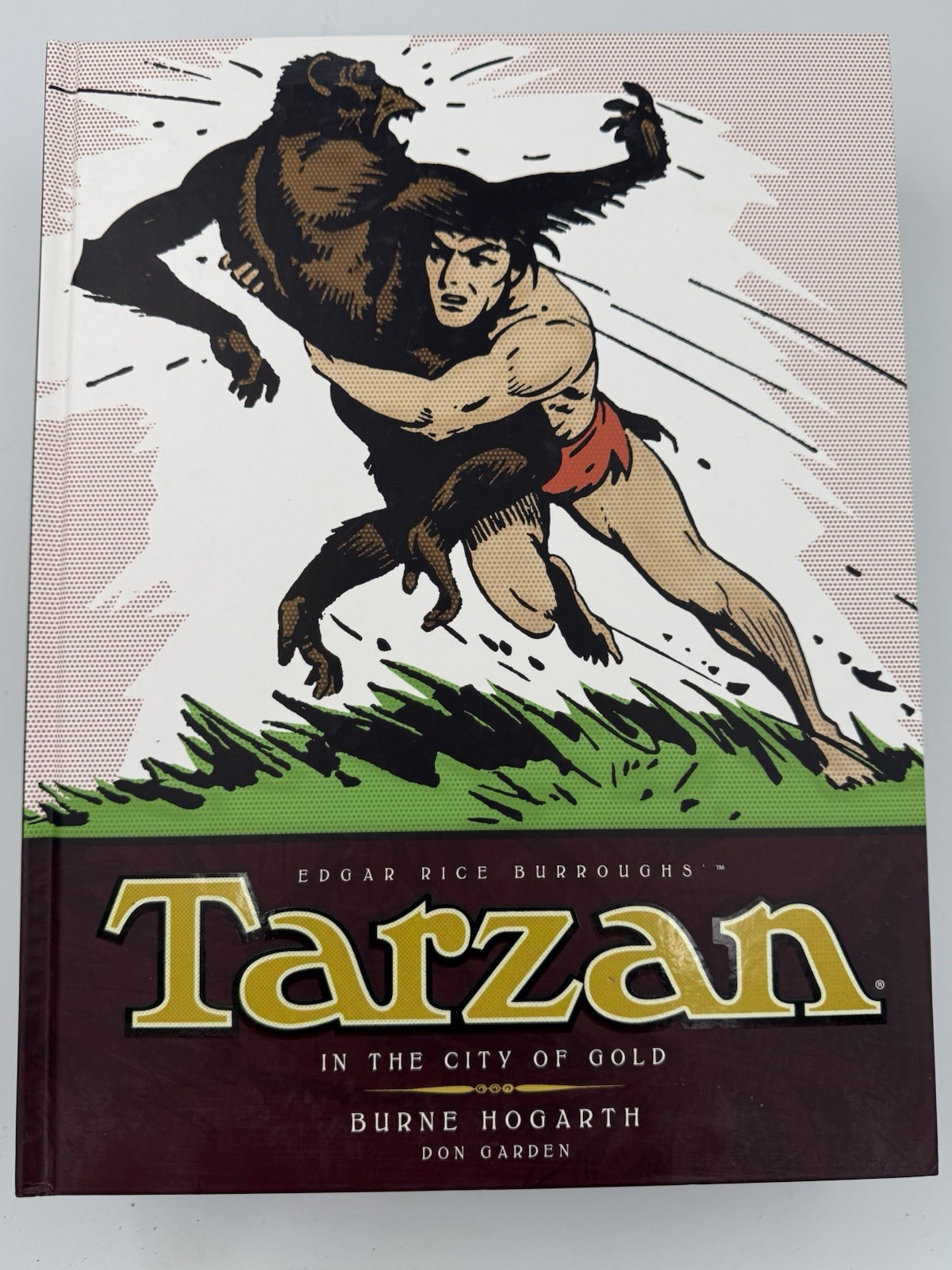 TARZAN IN THE CITY OF GOLD BURROUGHS 1st EDITION TITAN BOOKS 2014 BURNE HOGARTH