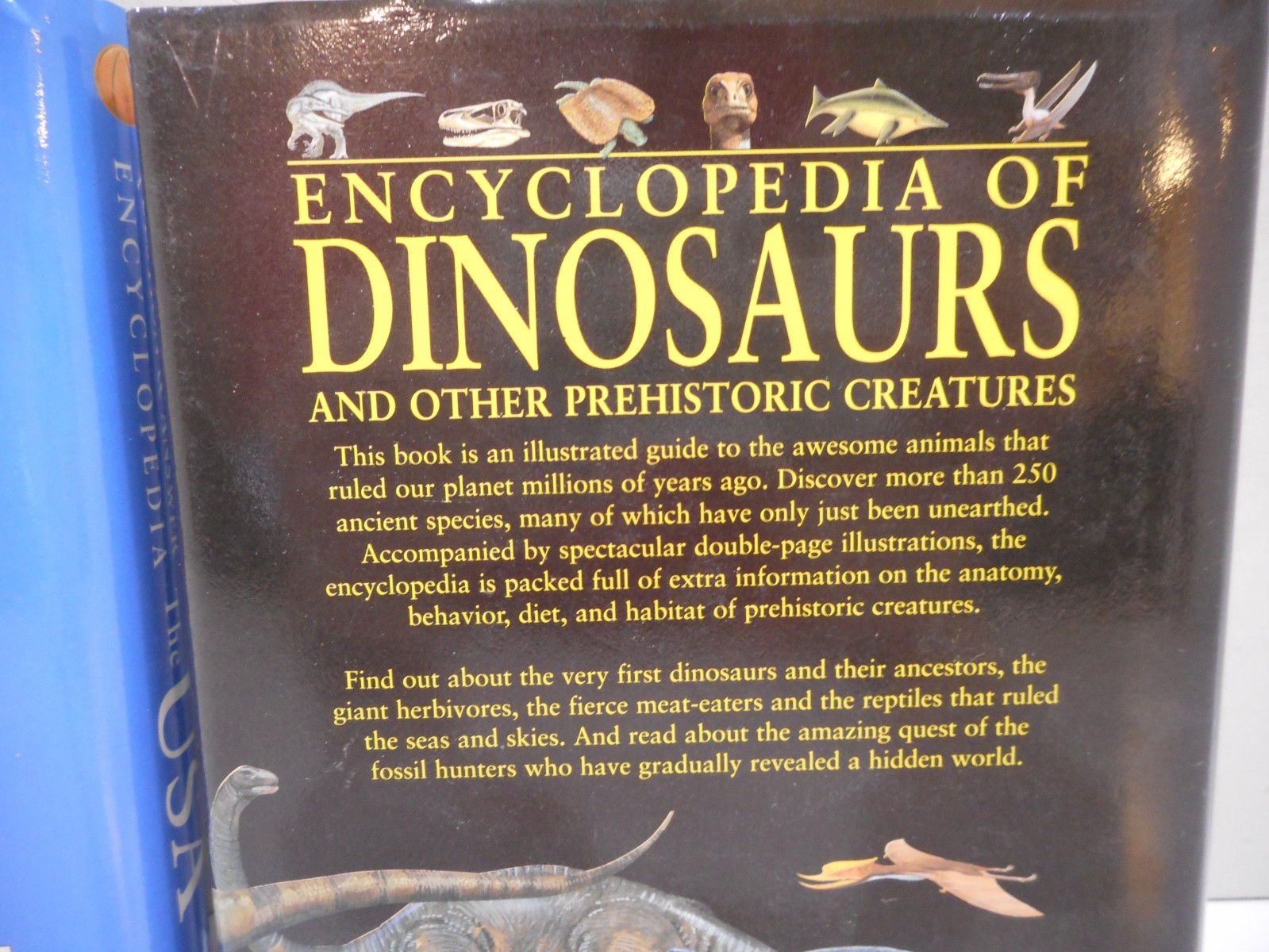 Encyclopedia Of Dinosaurs and The USA mini books Q&A HCDJ 2005 2006