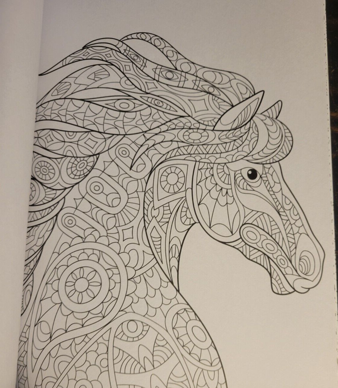 MAGNIFICENT CREATURES Vol 19 – Adult Coloring Book by TOPIX MEDIA – 47 PRINTS
