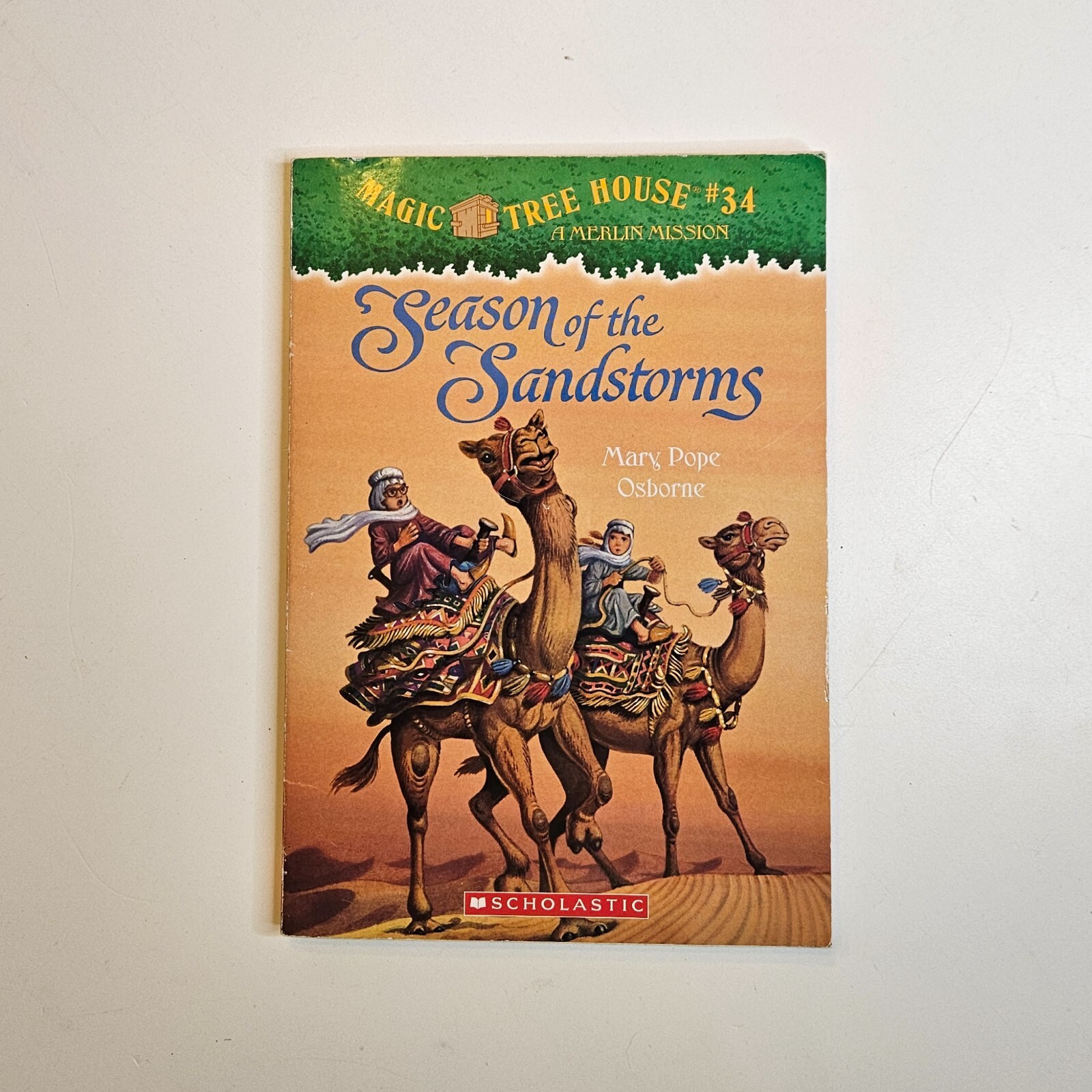 Lot 9 Magic Tree House Books #1 #6 #12 #13 #34 Research Guide Merlin Missions