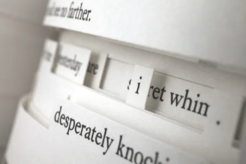 Tree of Codes by Jonathan Safran Foer Impossible Diecut Book 2010