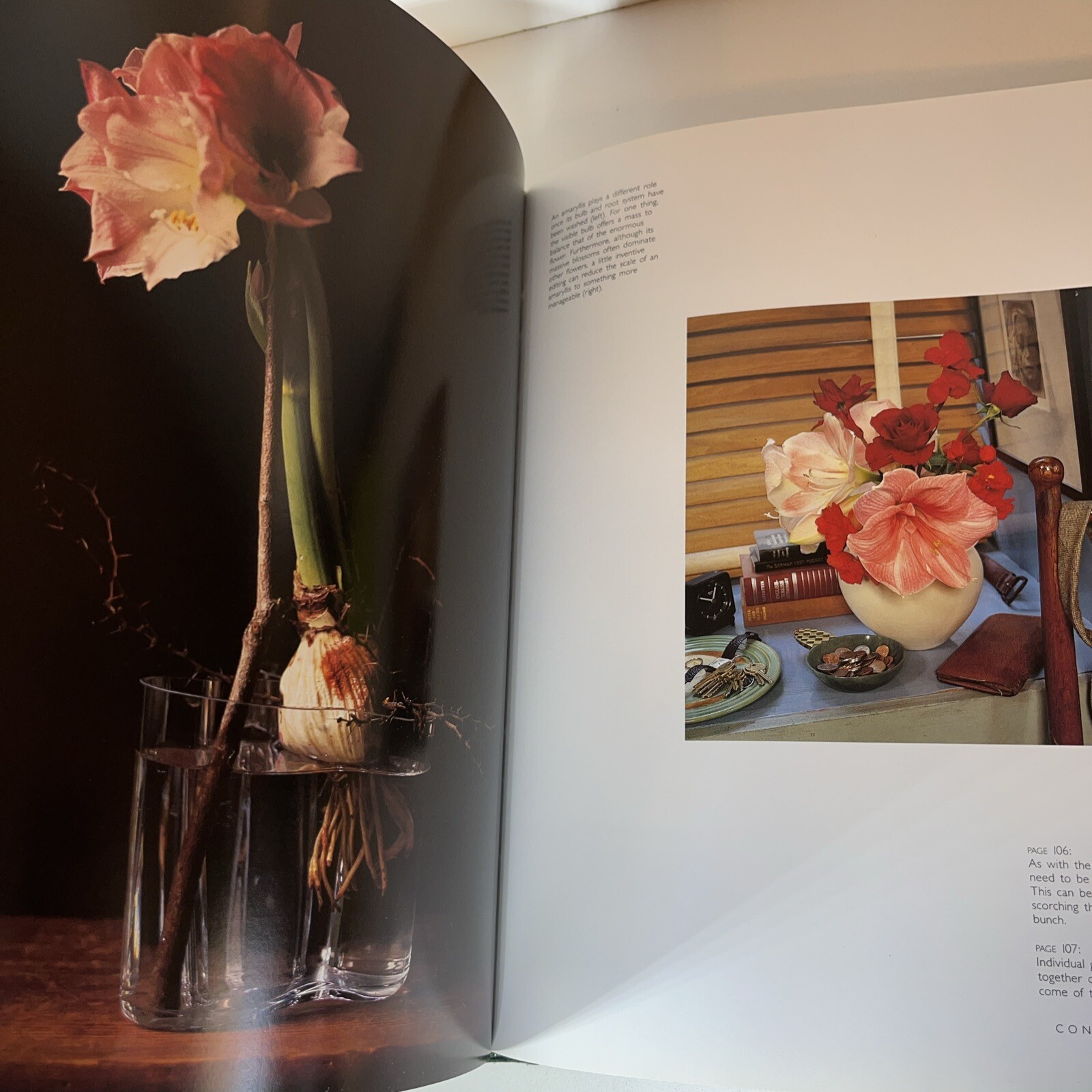 Madderlake Flowers Rediscovered 1985 First Edition Hardcover Dust Jacket NEW