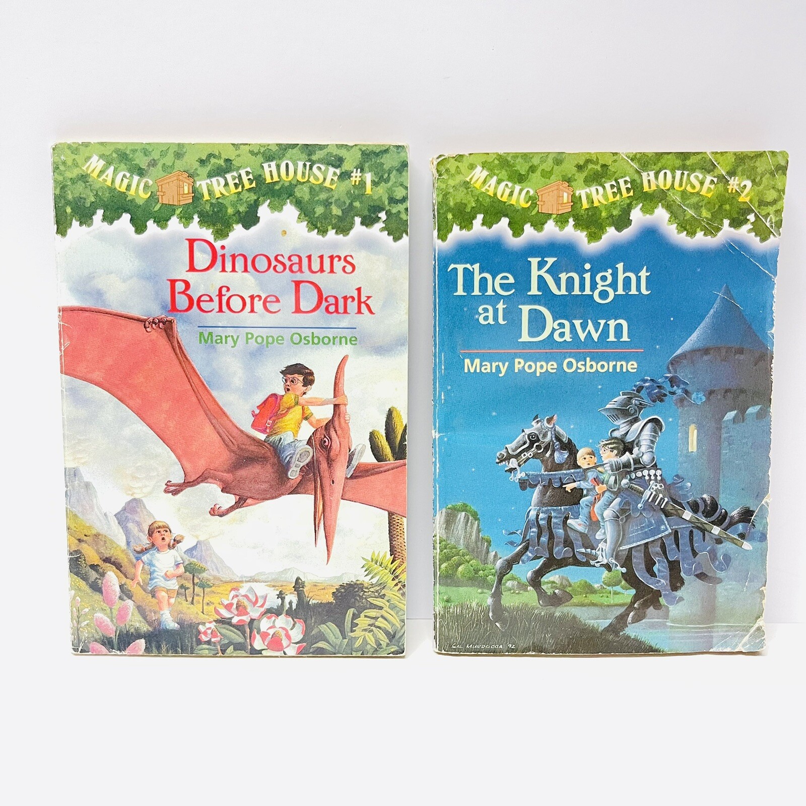 Lot Of 15 Magic Tree House Merlin Missions Series Paperback Books