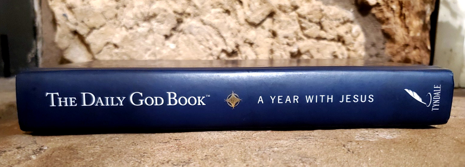 The Daily God Book: A Year with Jesus Neil Wilson Tyndale Pub. a walk w/Jesus