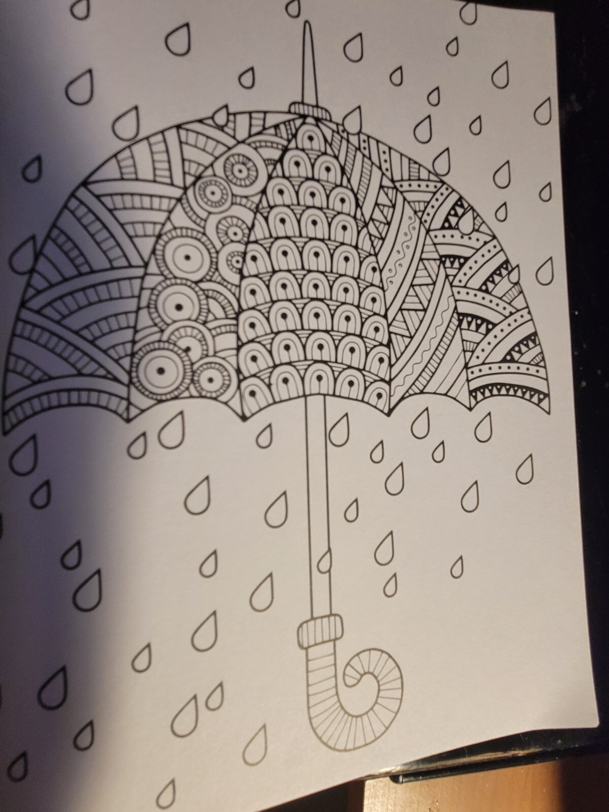 COLOR ME CALM JOURNAL Adult Coloring Book With 47 Prints Ready To Frame