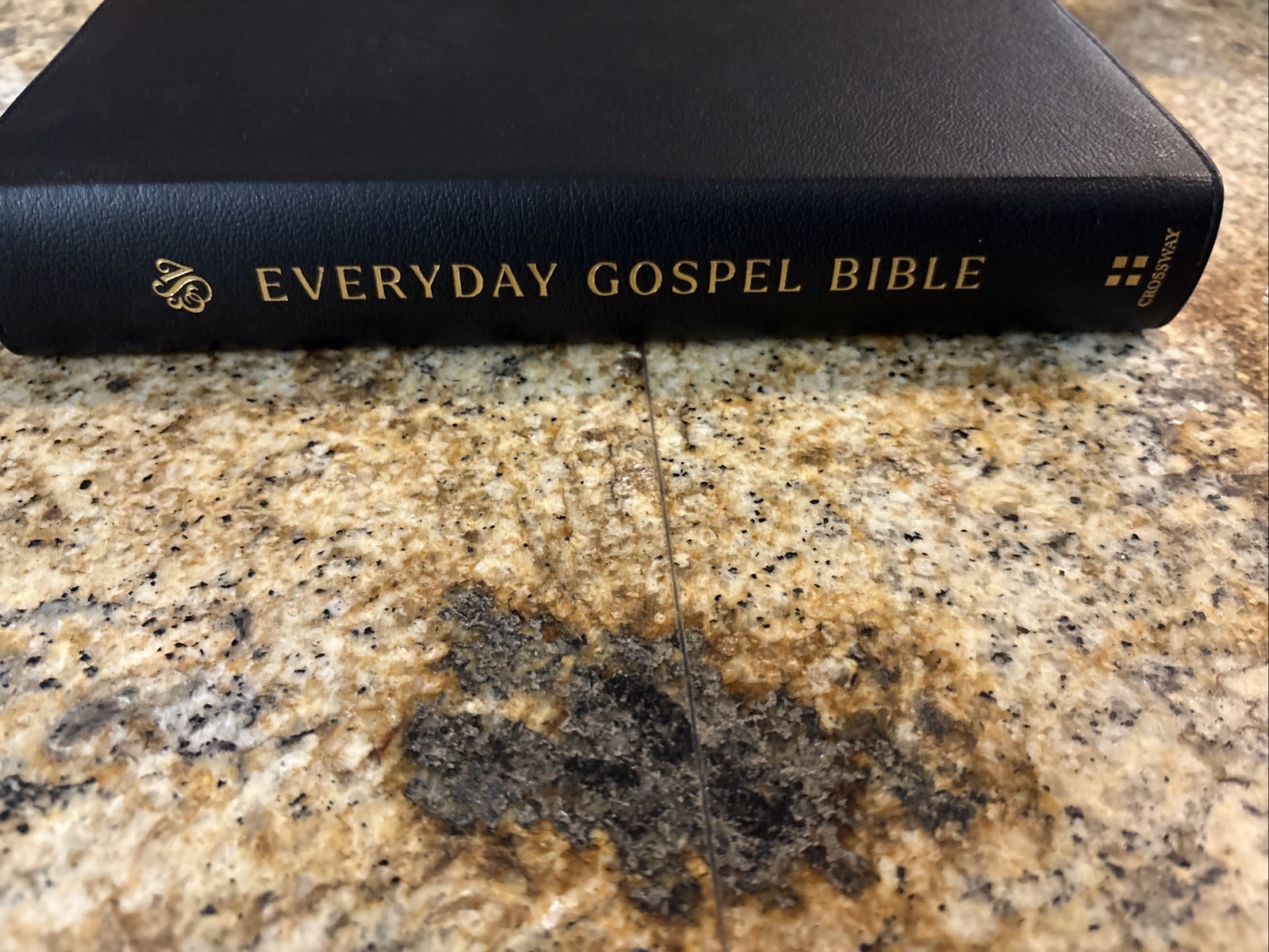 ESV Everyday Gospel Bible – Black Genuine Leather Paul David Tripp Crossway
