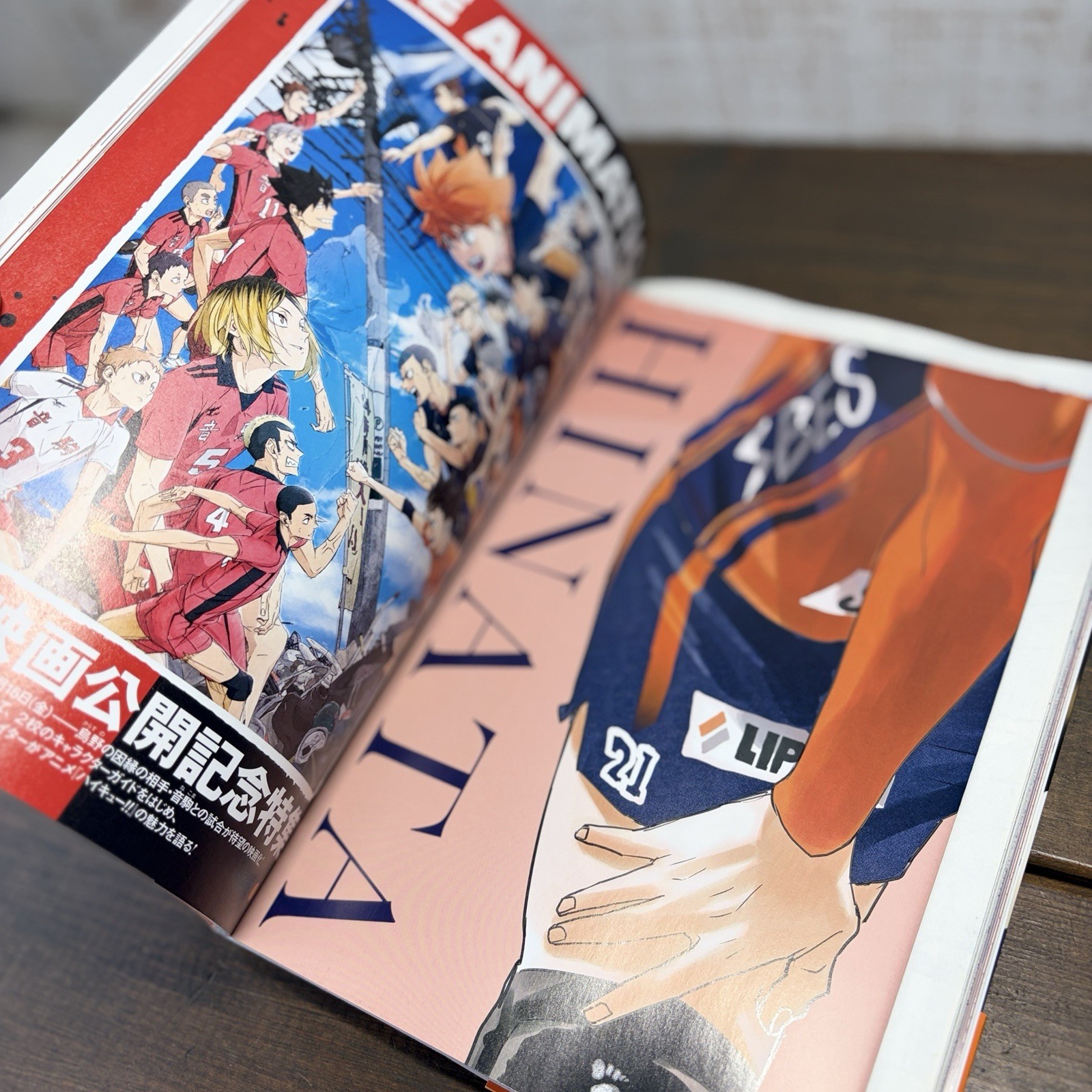 Haikyu!! Magazine 2024 Feb Shueisha Mook w/ Unopened Stickers & Poster Japan