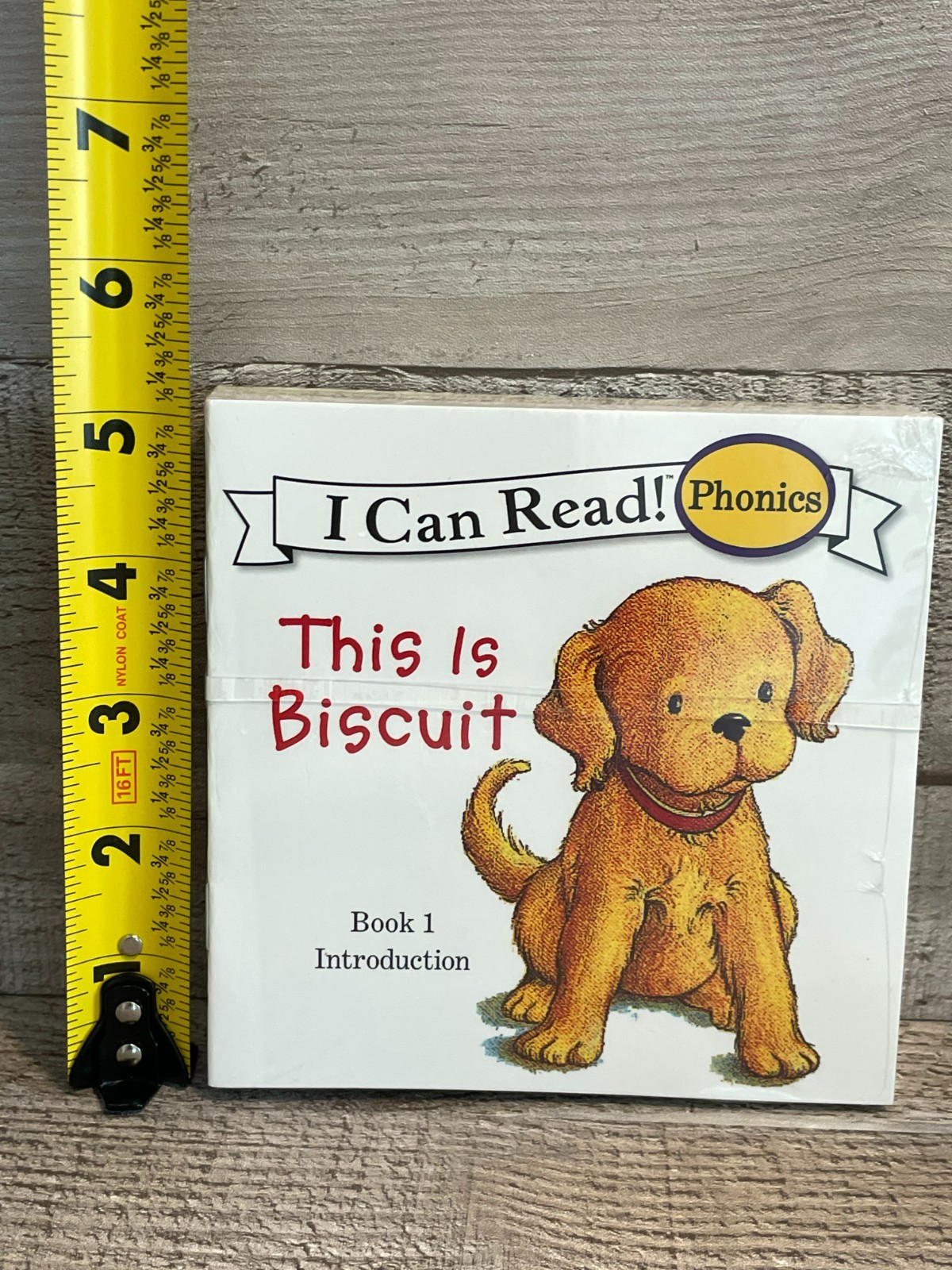 I Can Read Phonics (Short Vowels) “This is Biscuit” Set of 12