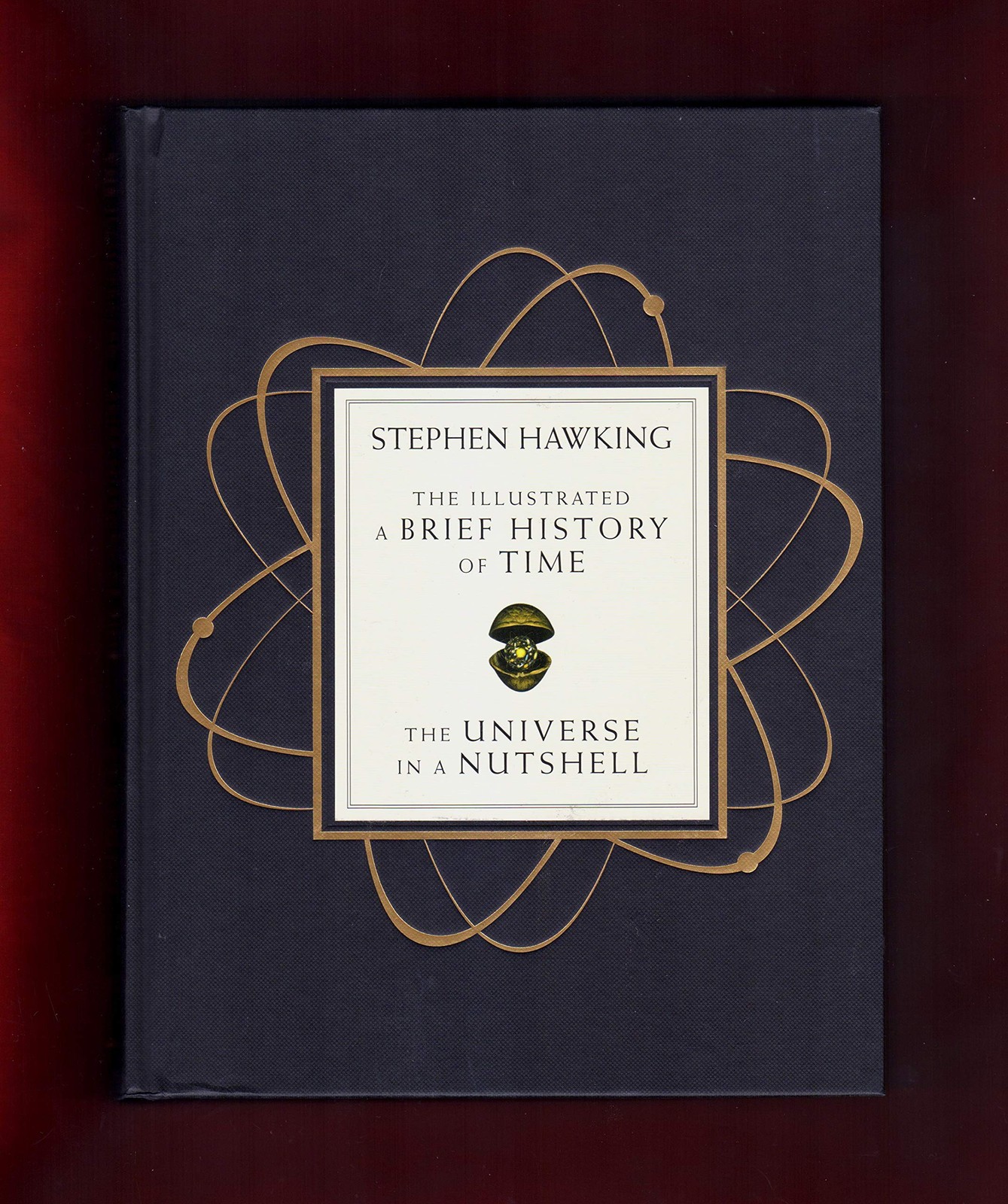 The Illustrated A Brief History of Time/The Universe in a Nutshell