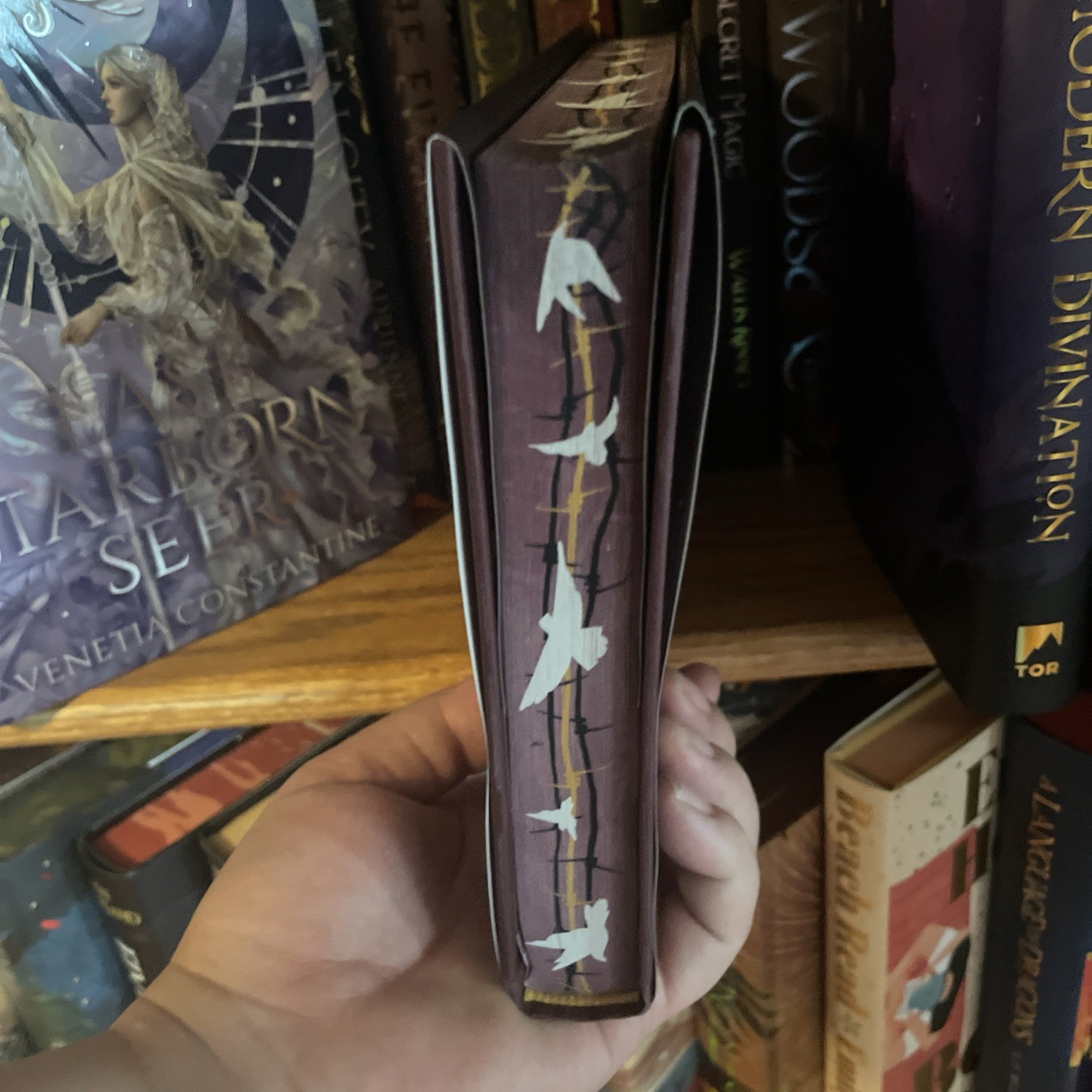 To Cage A Wild Bird By Brooke Fast Allurial Special Edition Edges Hardcover
