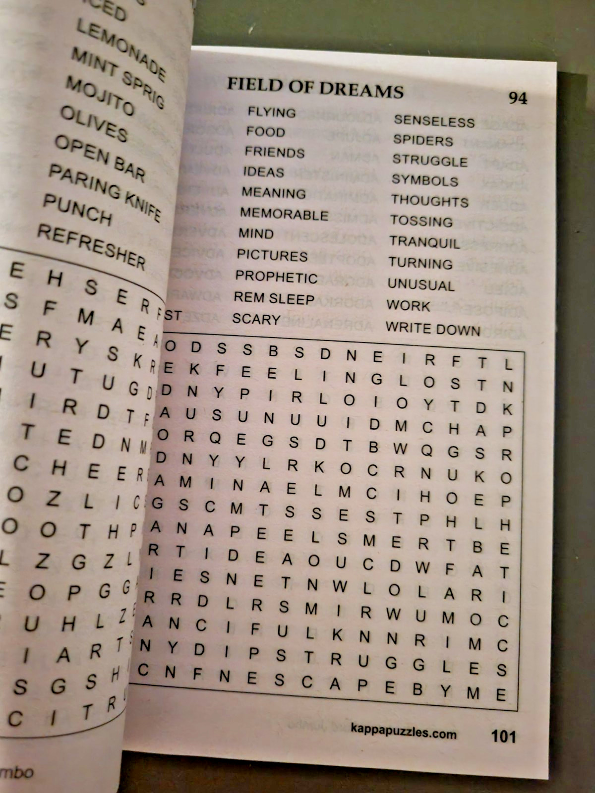 Lot of 3 Find-the-Word Puzzle Books by Kappa – 2 Special & Jumbo 390+ Challenges