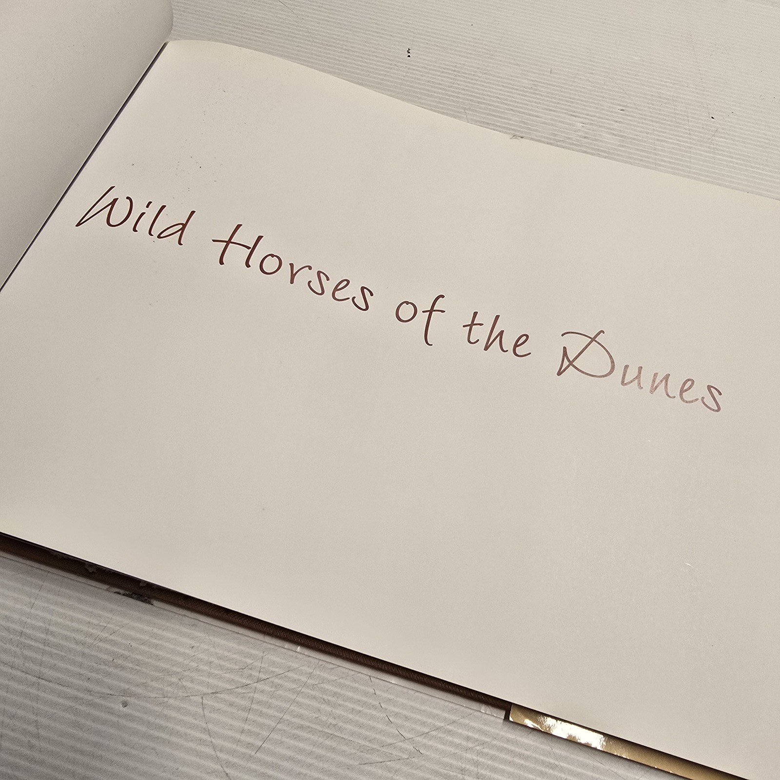 Wild Horses of the Dunes by Rich Pomerantz Hardcover Photography Book Nature