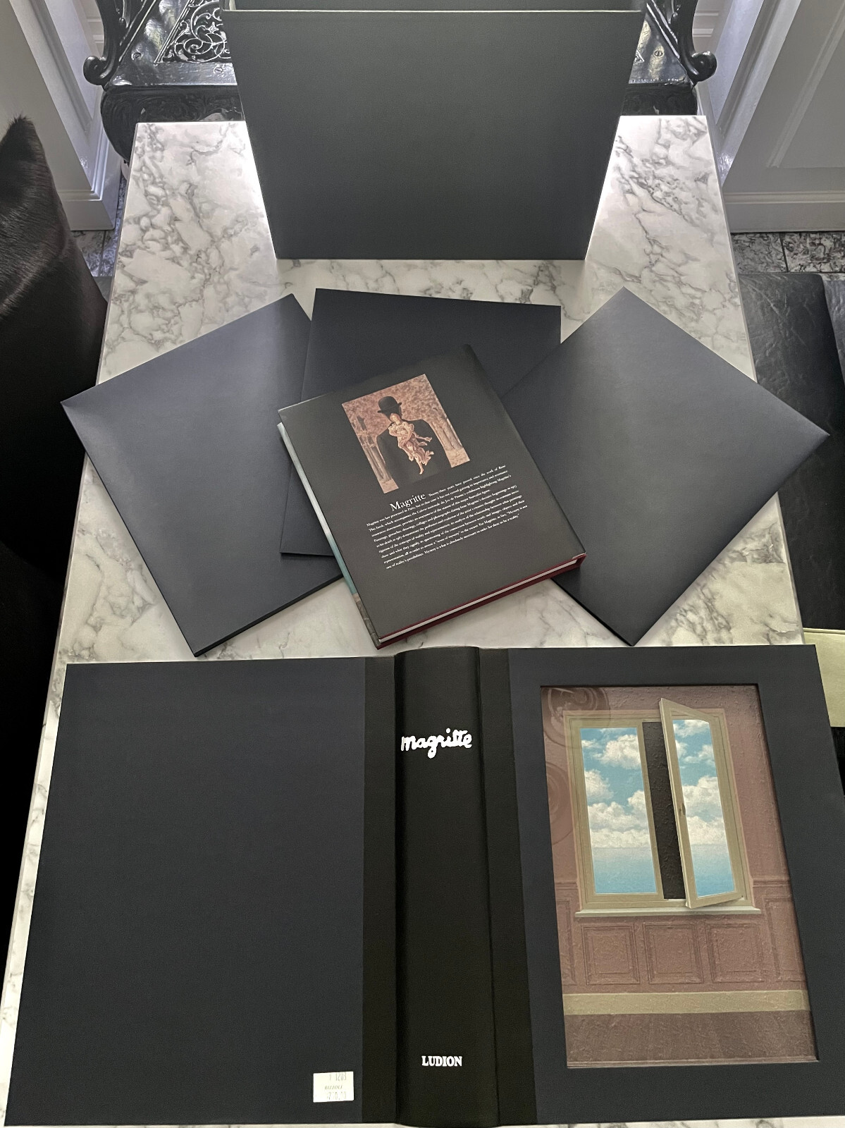 NEW MINT RARE DELUXE LTD ED #309 CLAMSHELL René Magritte: The Blue Box PAINTING
