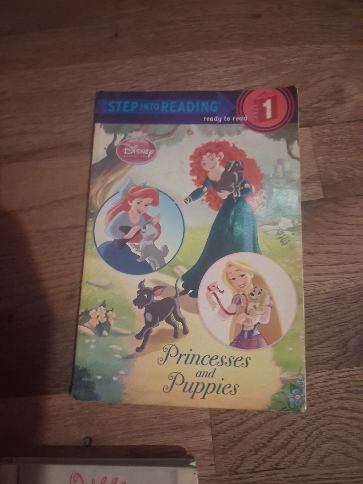 Scholastic Magic Tree House #26 Good Morning, Gorillas Paperback English
