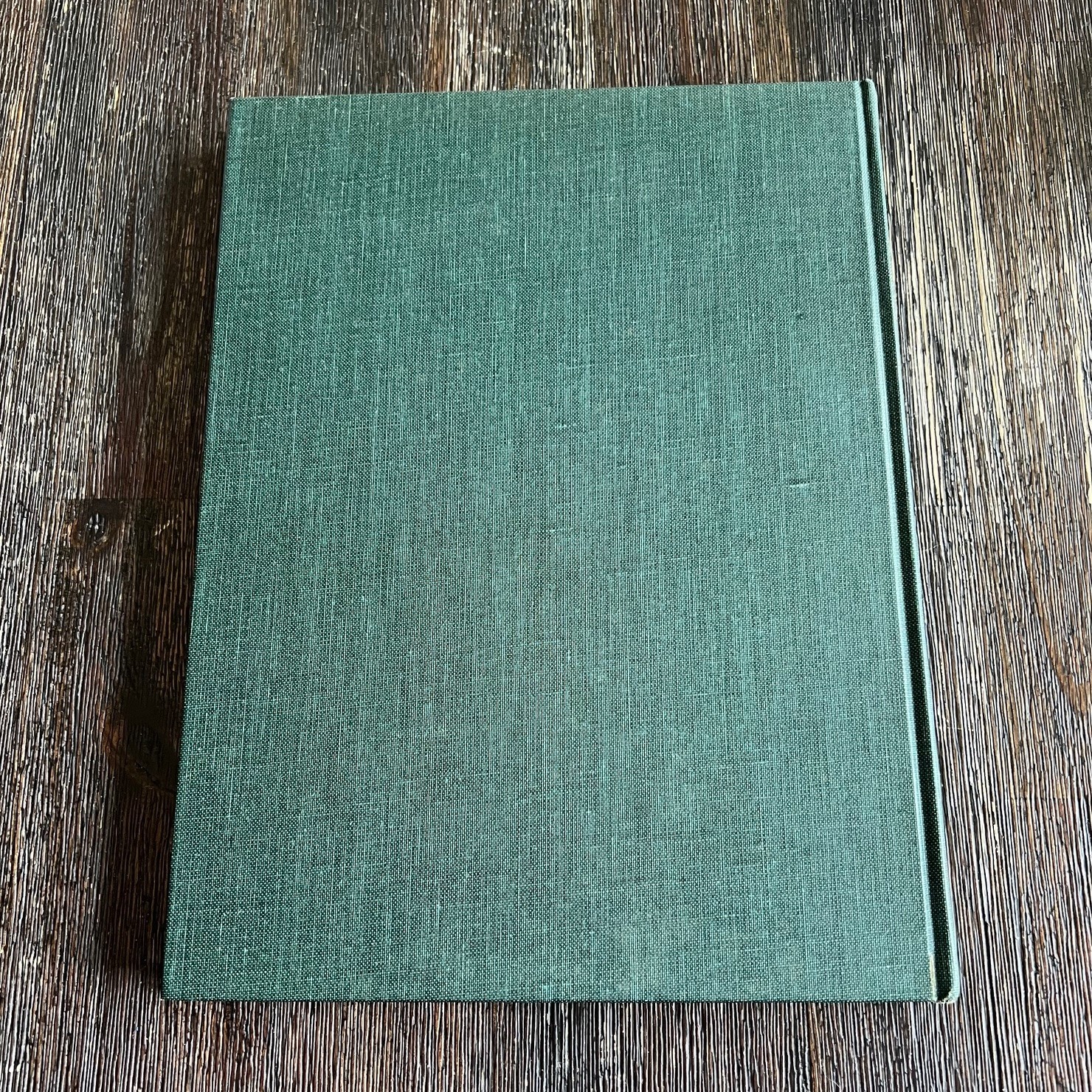 Thomas Nast: Cartoons and Illustrations 117 Works Dover 1974 VTG Hardcover Book