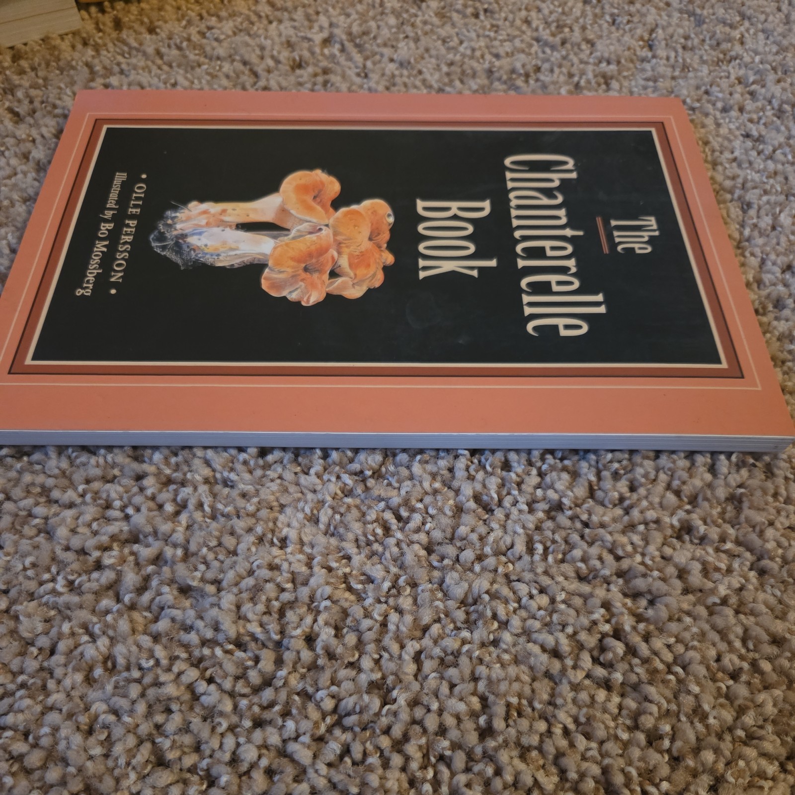 Chanterelle by Ollie Pearson – Rare Indie Novel – Paperback 1st Edition