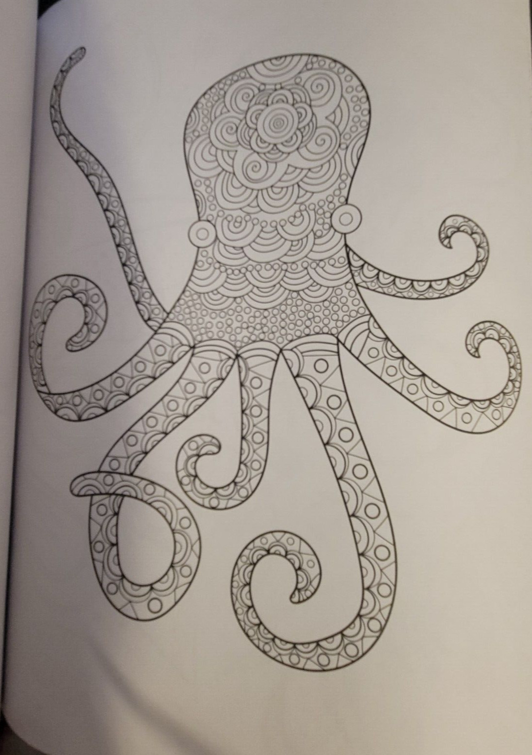 SEASUDE ESCAPES Adult Coloring Book With 62 Prints Ready To Color Relaxing Calm