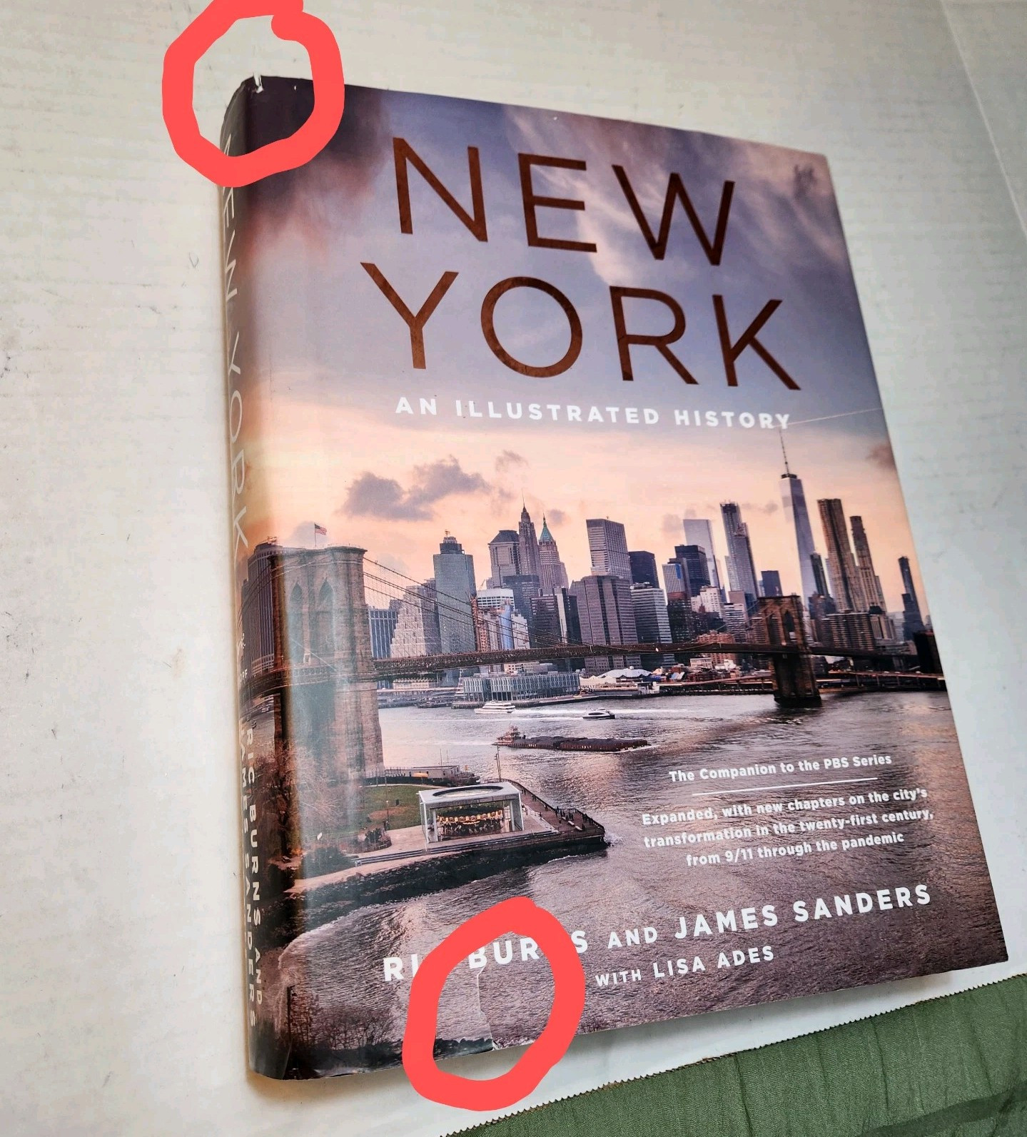 New York: An Illustrated History Hardcover