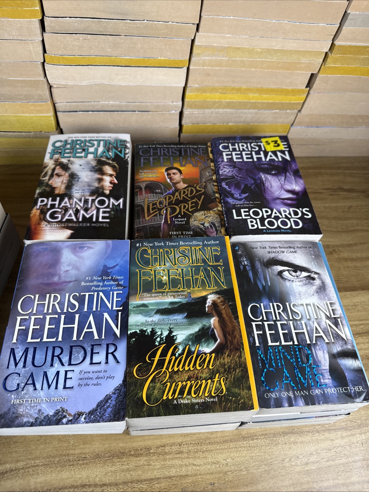 Lot of 22 Paranormal Romance Paperbacks by Christine Feehan Random Mix of Series